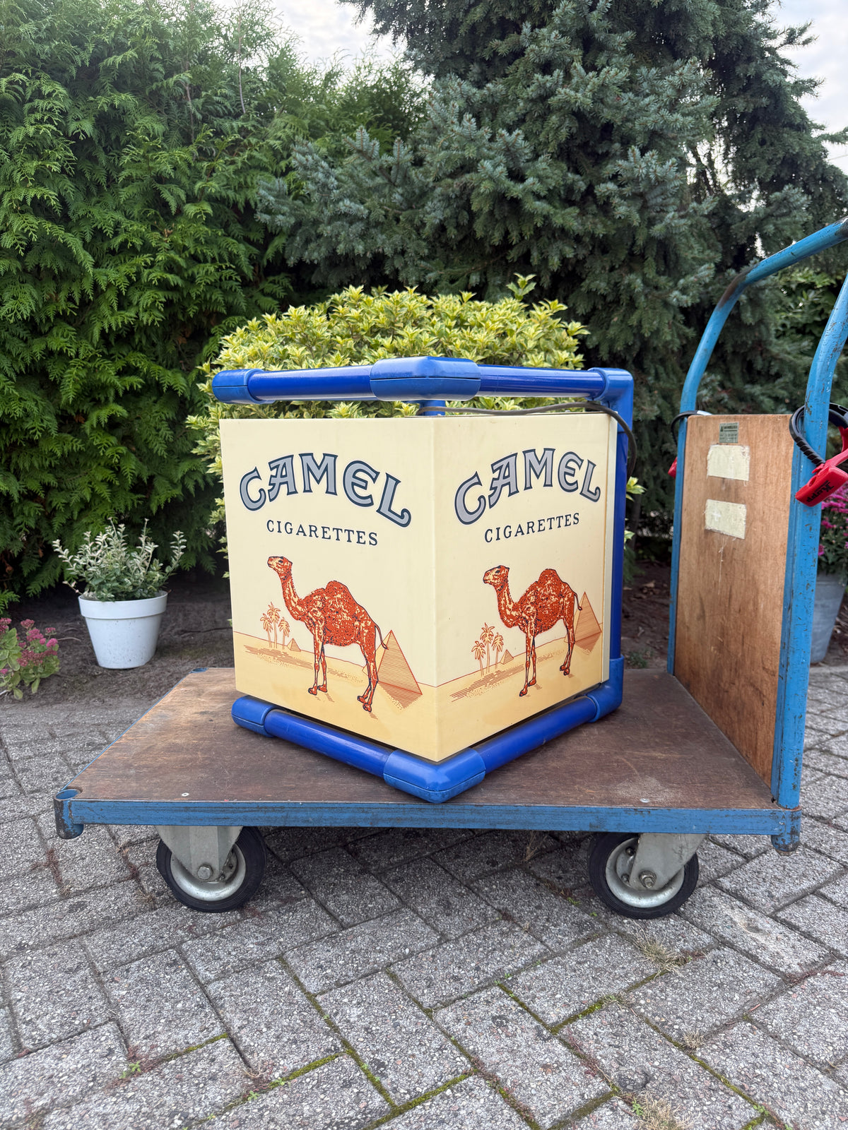 Vintage Camel lichtbak kubus (Alleen ophalen)