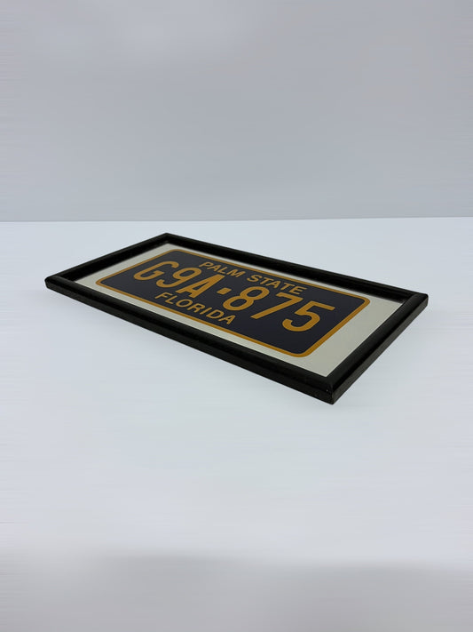 CLEARANCE SALE Vintage American License Plate Mirror, Palm State Florida, Homebar Mancave Wall Art, Car Memorabilia Mirror