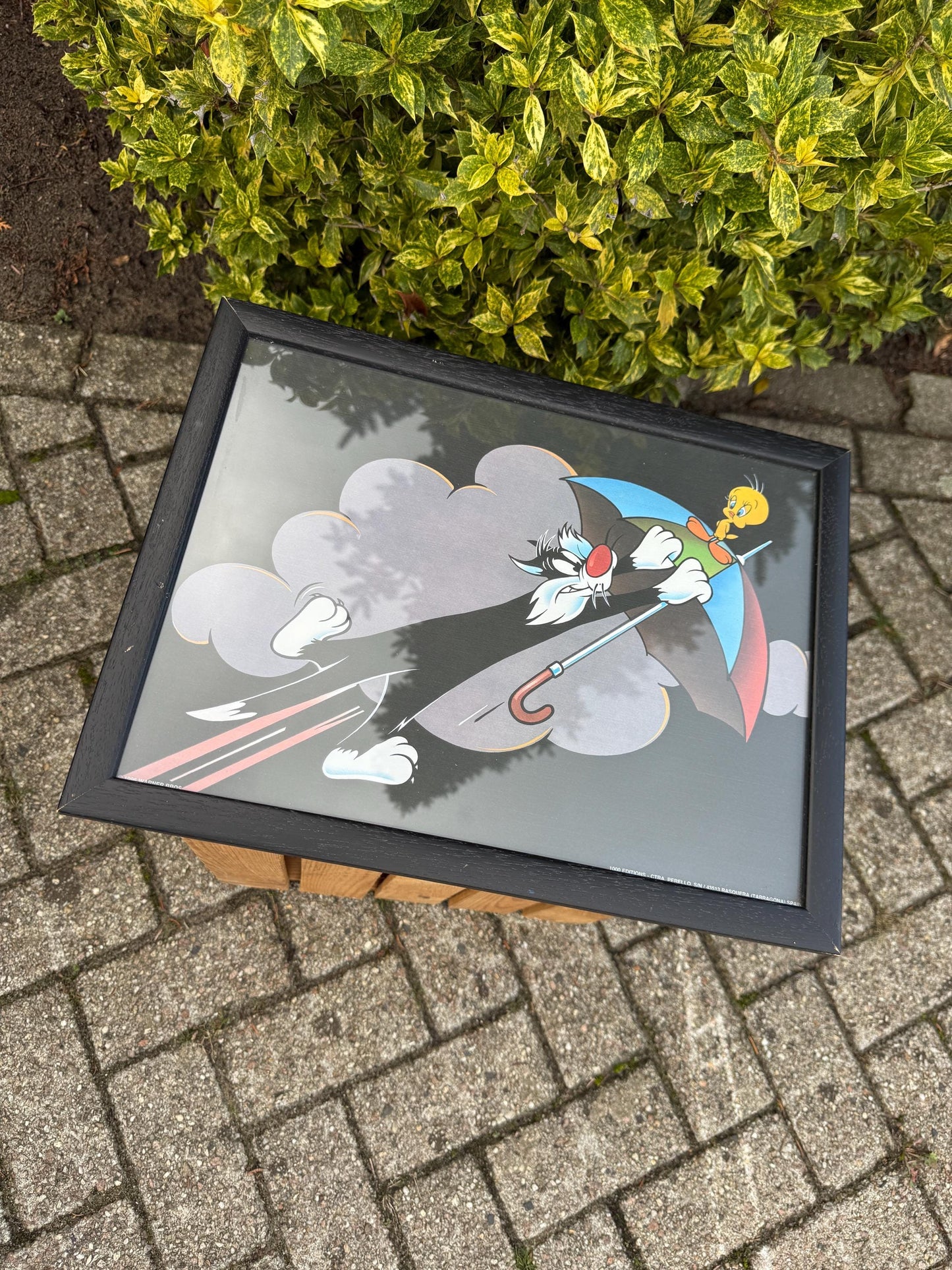 Looney Tunes Sylvester And Tweety Poster