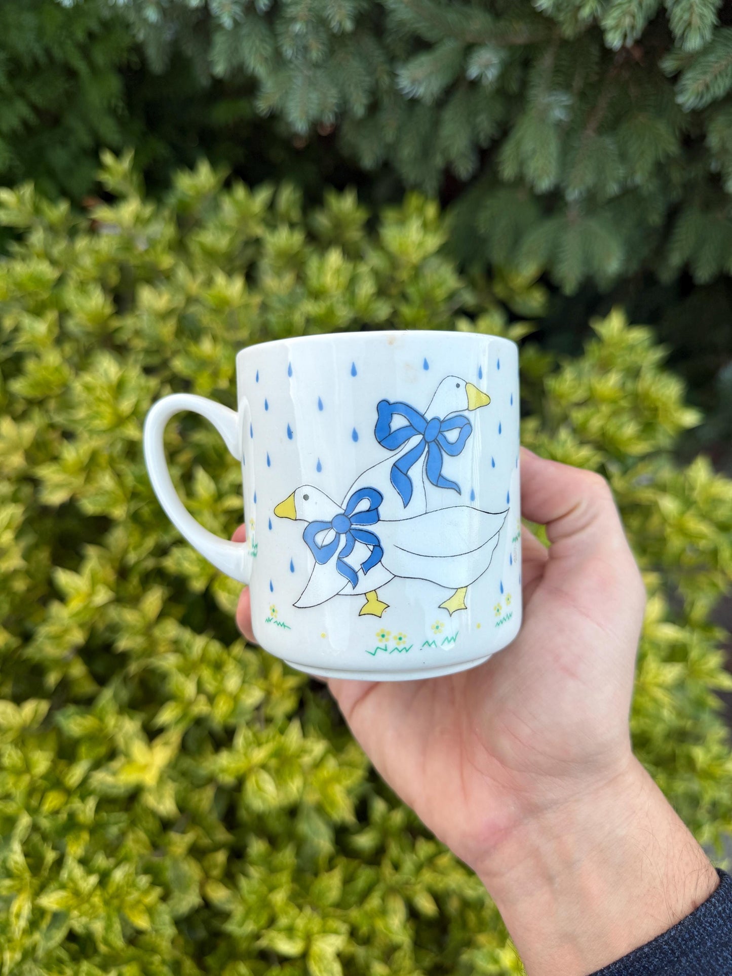 Vintage Goose Print Mug Set