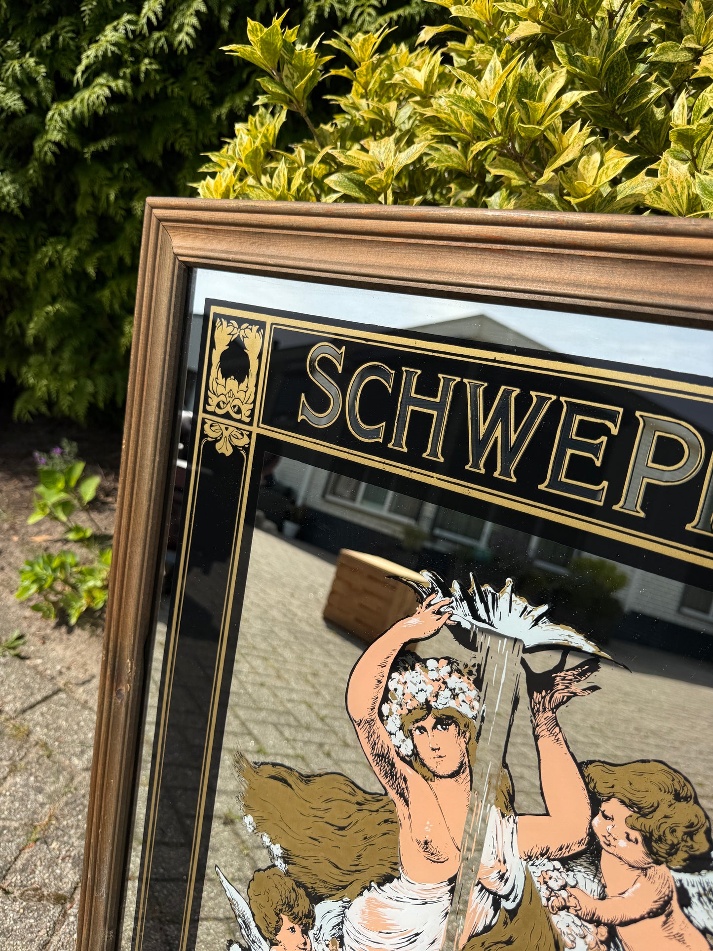 Grote Schweppes barspiegel