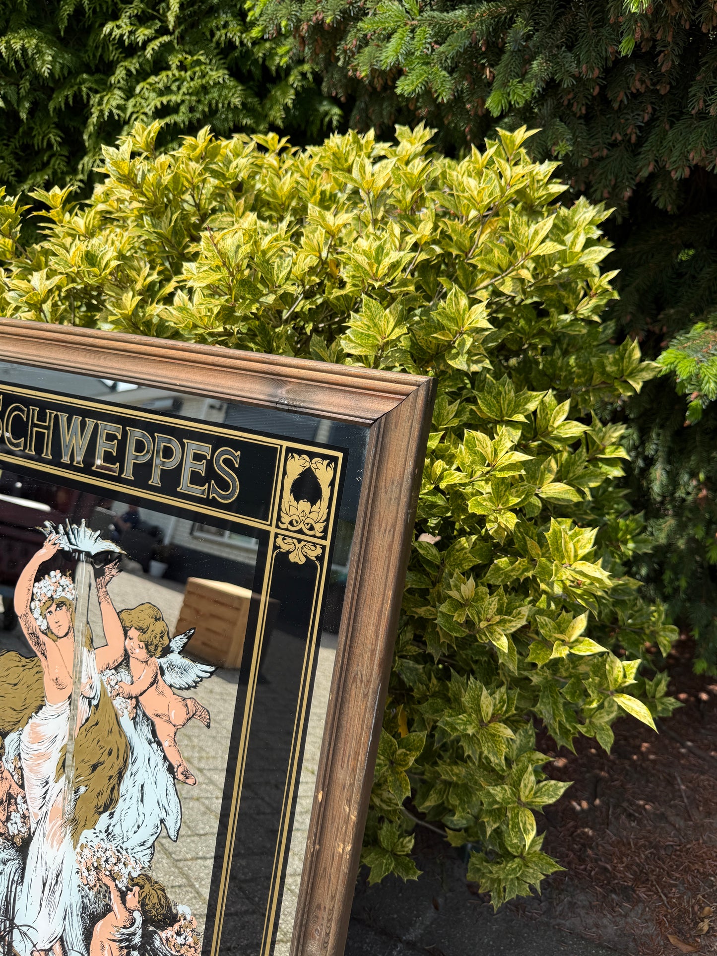 Grote Schweppes barspiegel