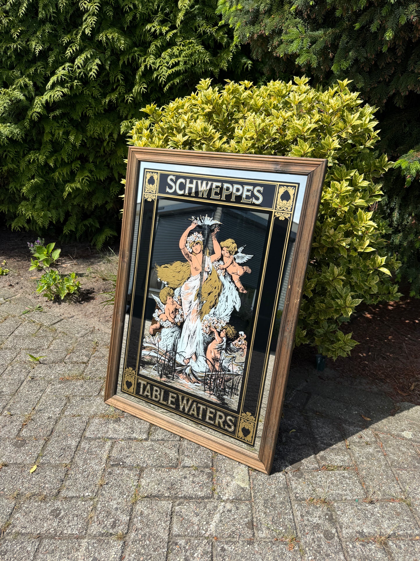 Grote Schweppes barspiegel