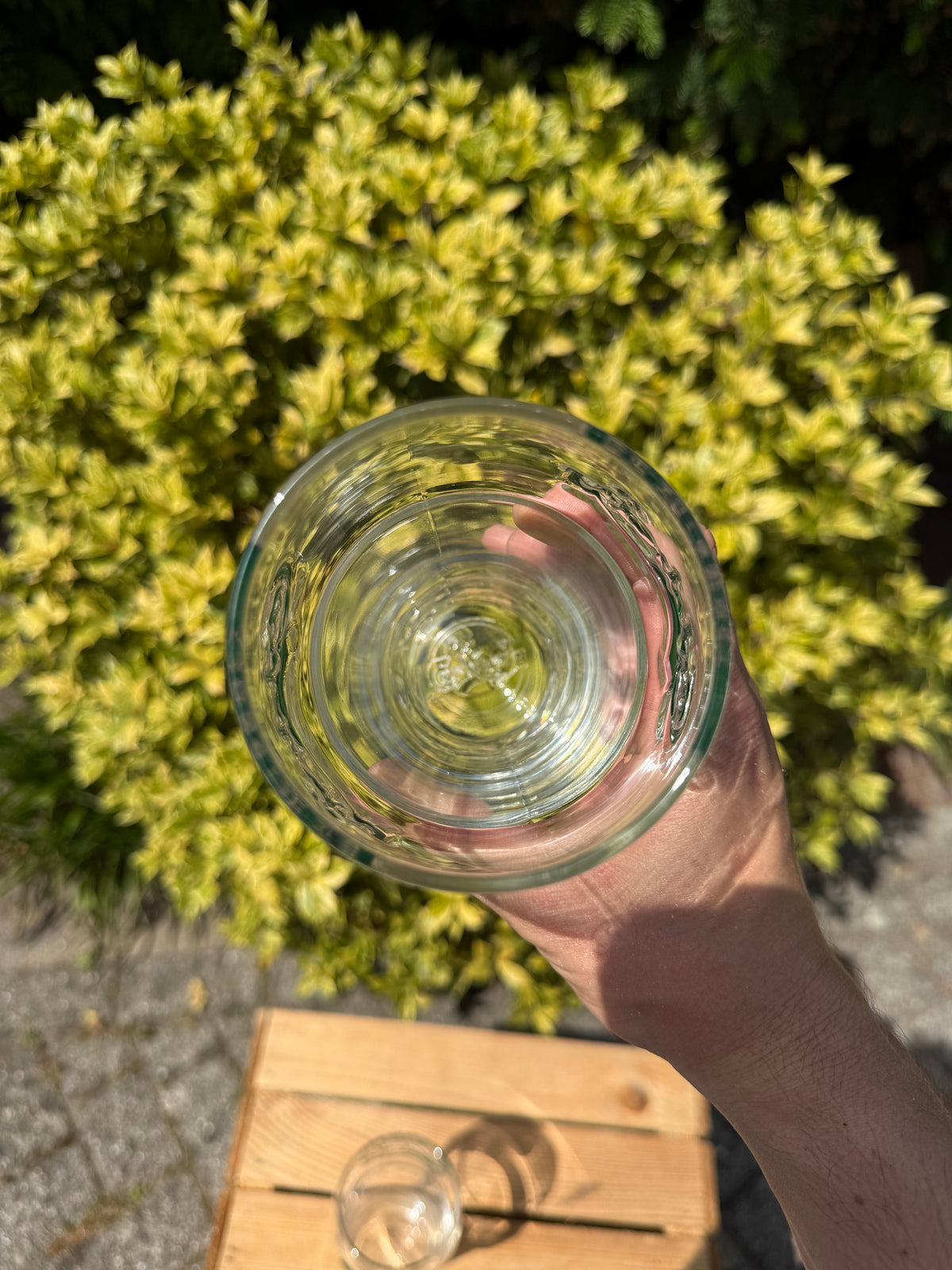 Set 2 vintage Carlsberg bierglazen 3D logo