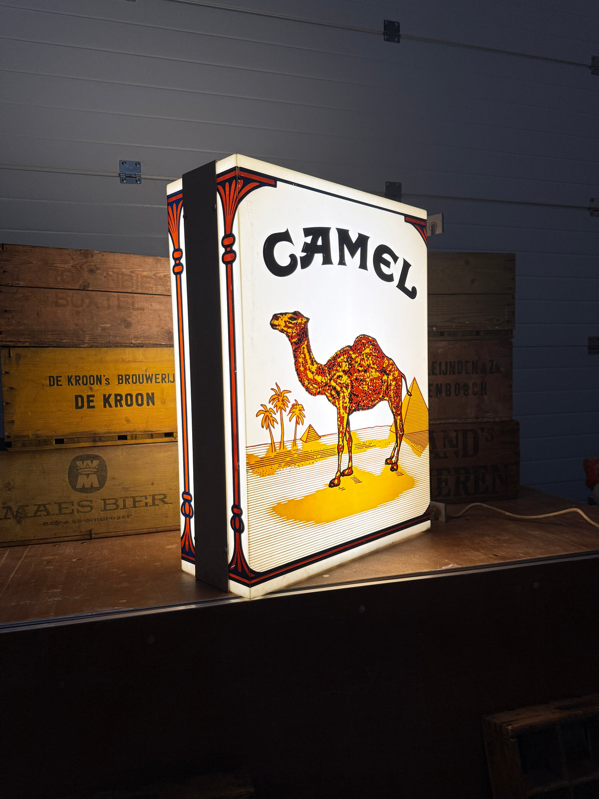 XXL Camel lichtbak dubbelzijdig (Alleen ophalen)