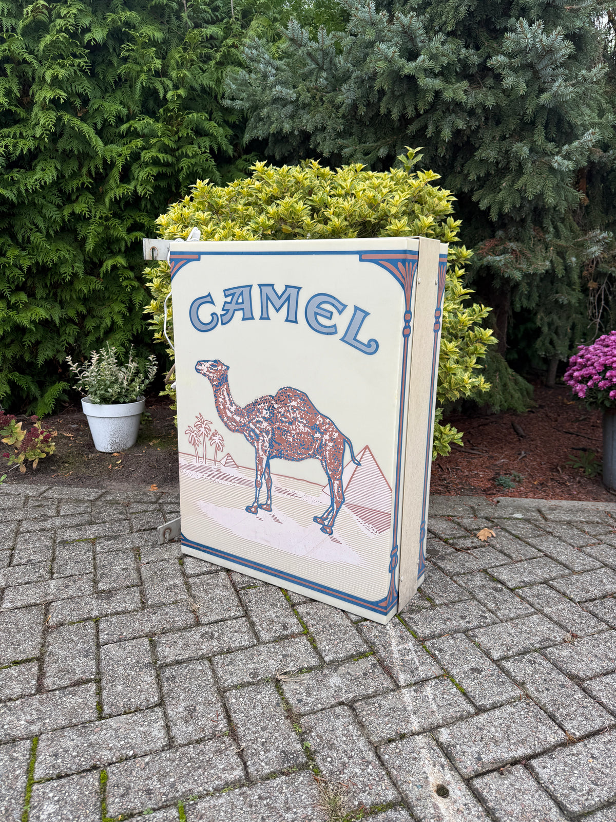 XXL Camel lichtbak dubbelzijdig (Alleen ophalen)