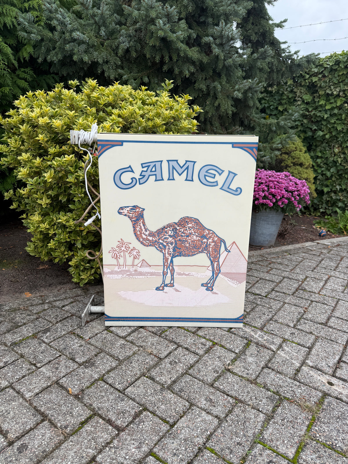 XXL Camel lichtbak dubbelzijdig (Alleen ophalen)