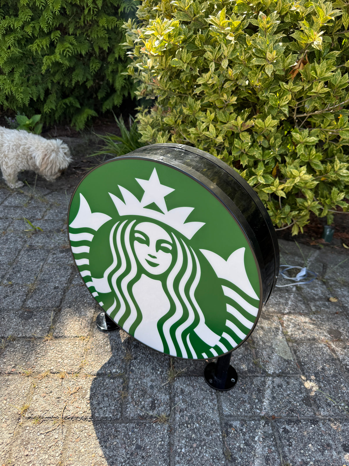 Starbucks lichtbak dubbelzijdig