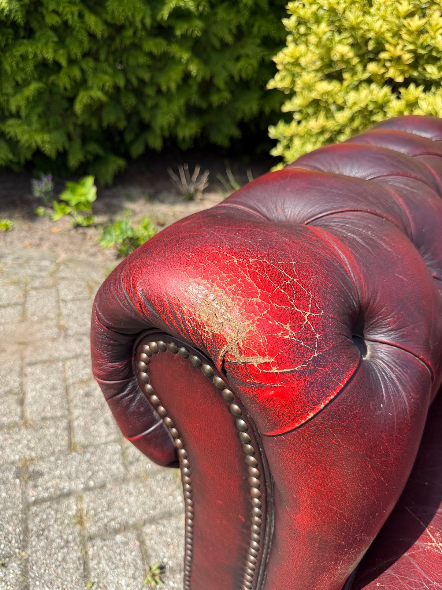 Vintage Chesterfield stijl fauteuil