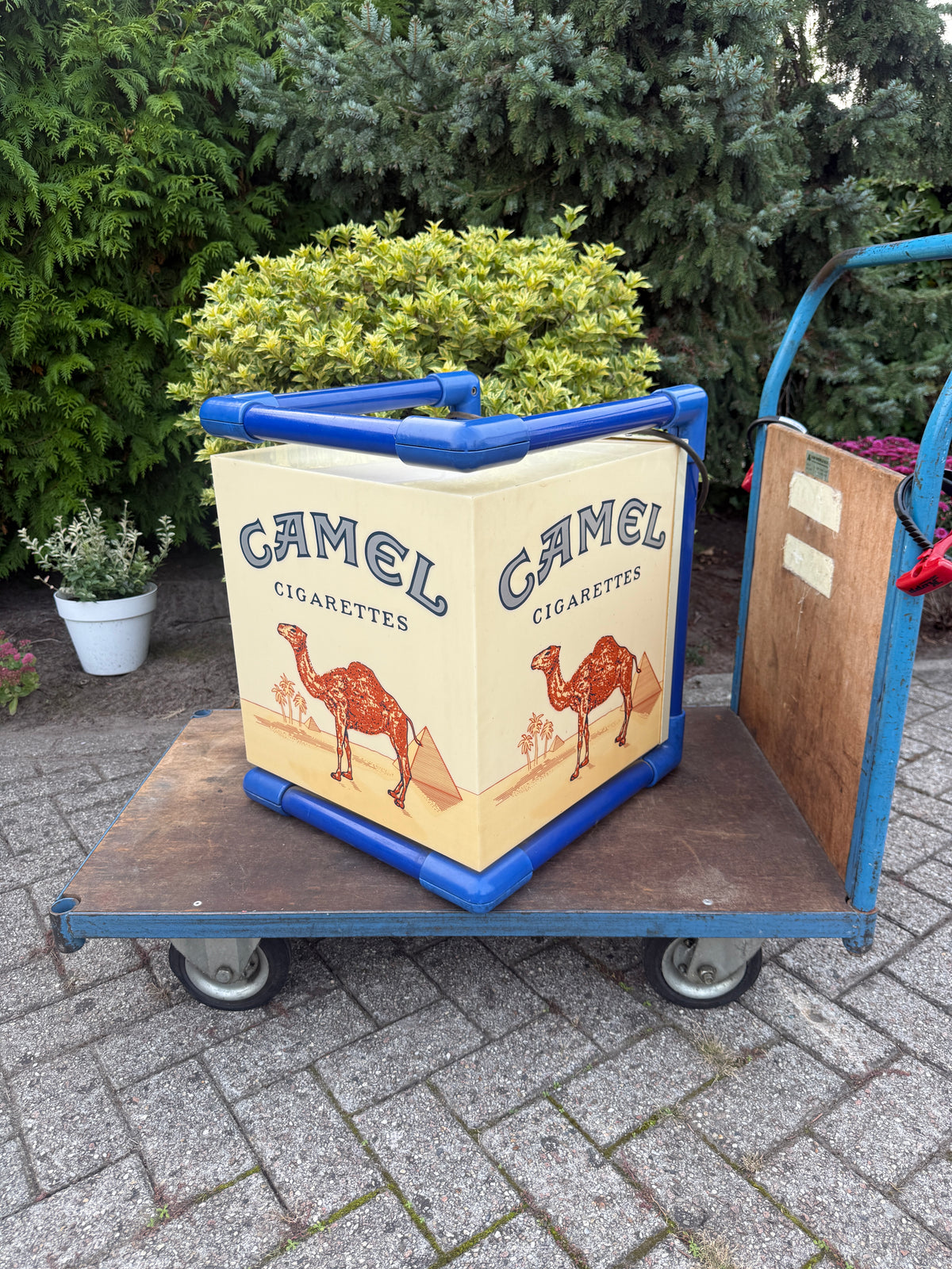 Vintage Camel lichtbak kubus (Alleen ophalen)