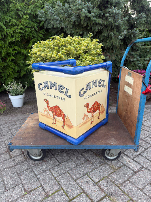 Vintage Camel lichtbak kubus (Alleen ophalen)