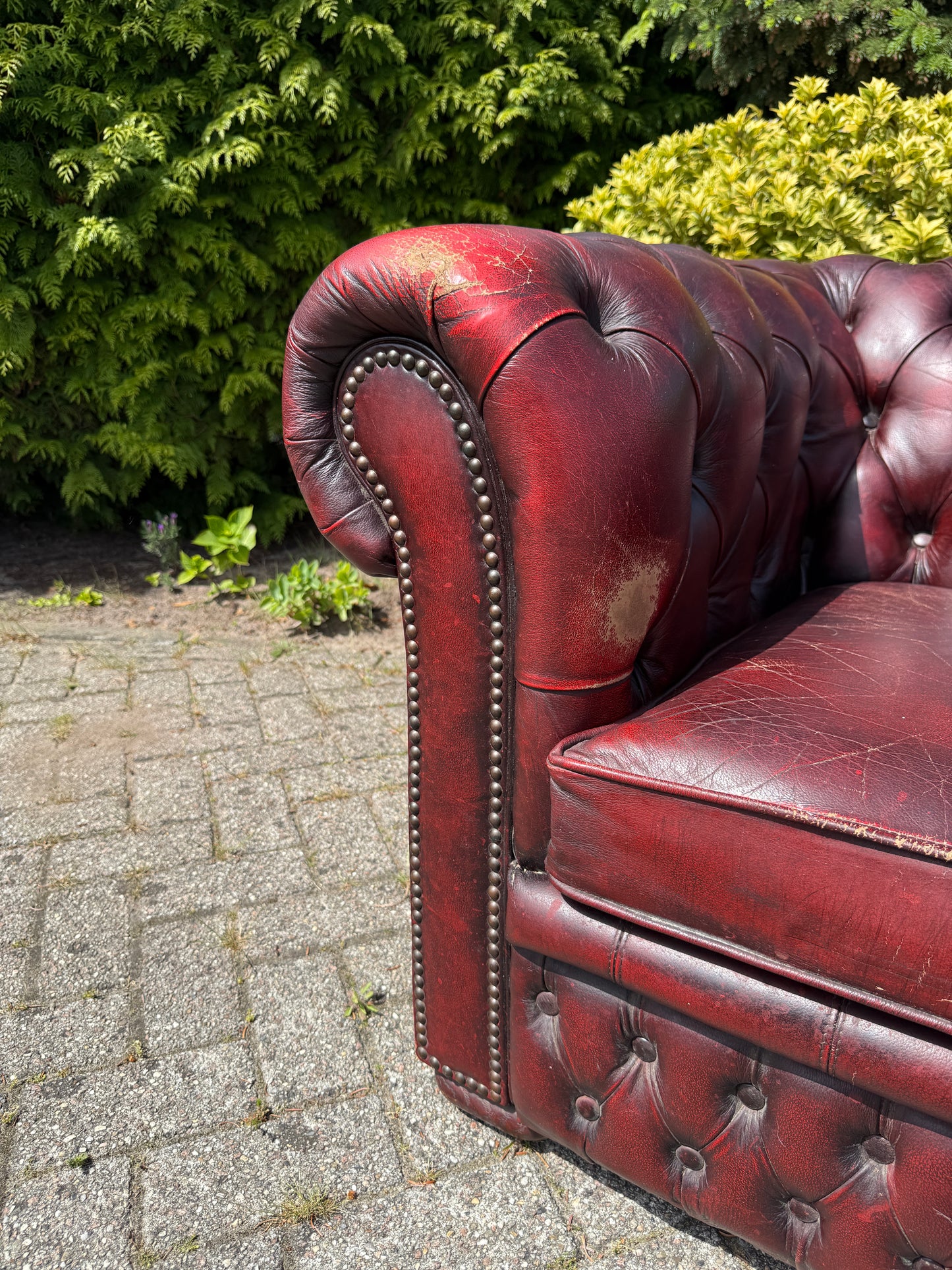 Vintage Chesterfield stijl fauteuil