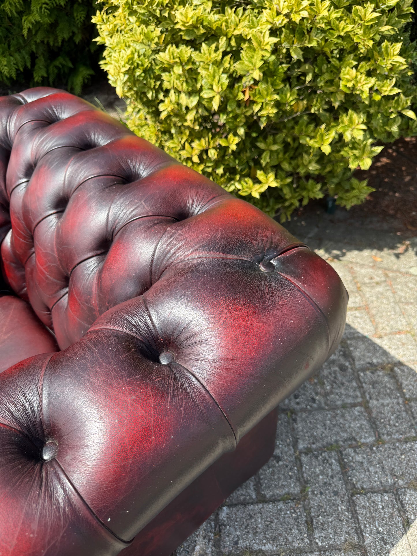 Vintage Chesterfield stijl fauteuil