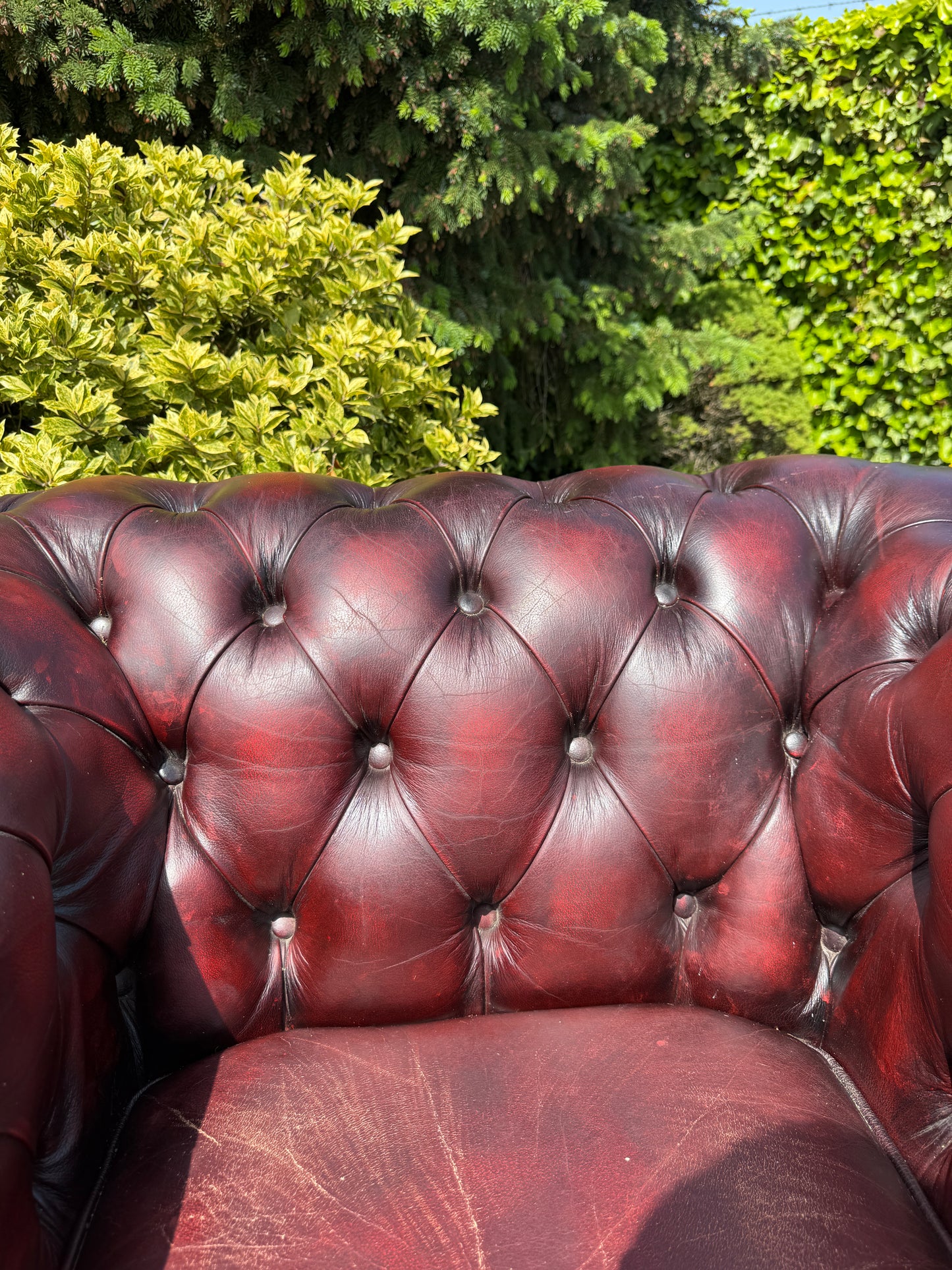 Vintage Chesterfield stijl fauteuil