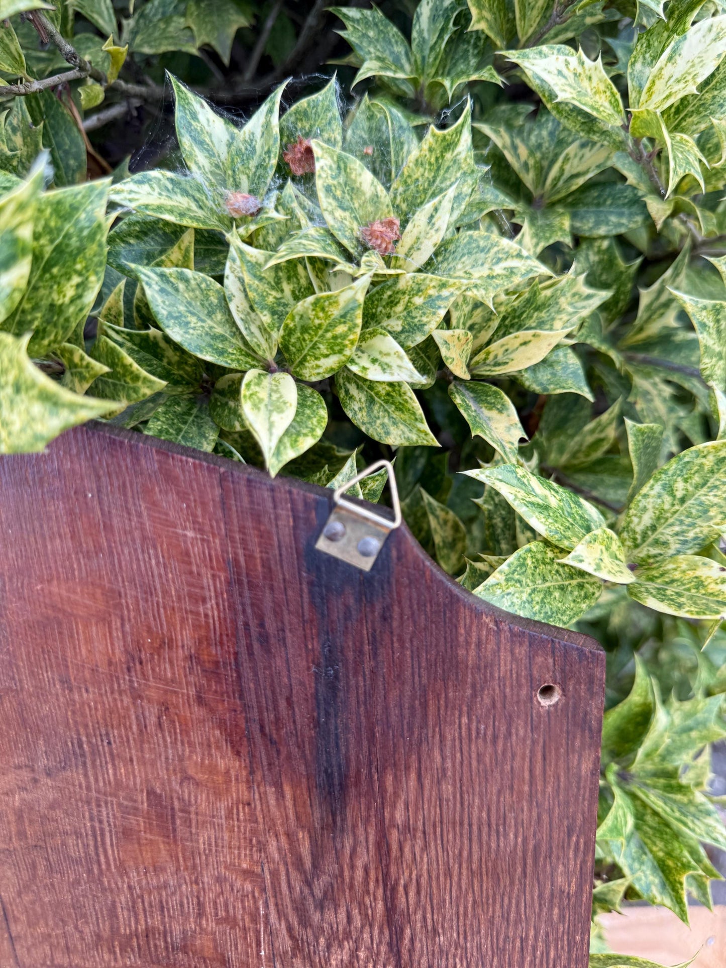 Vintage Wooden Art Deco Magazine and Newspaper Rack, Tijdschriften Couranten Holder, 1930s Dutch Deco Storage, Carved Wood Organizer