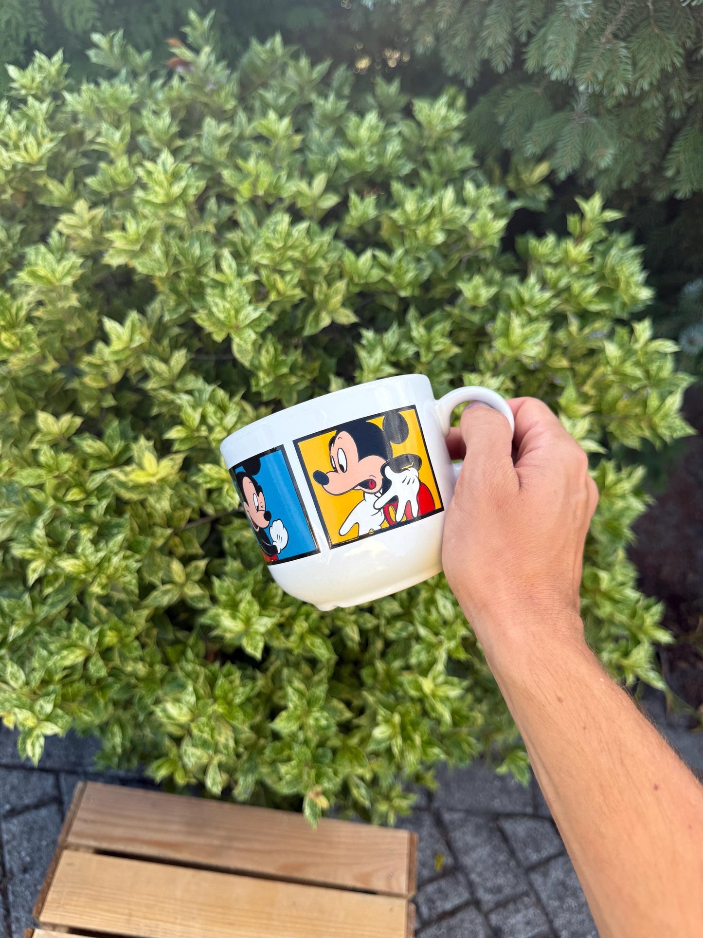 Vintage Disneyland Paris Mickey Mouse Mug, Retro Coffee Cup, Collectible Disney Tams, Vintage Theme Park Souvenir, Retro Cartoon Drinkware