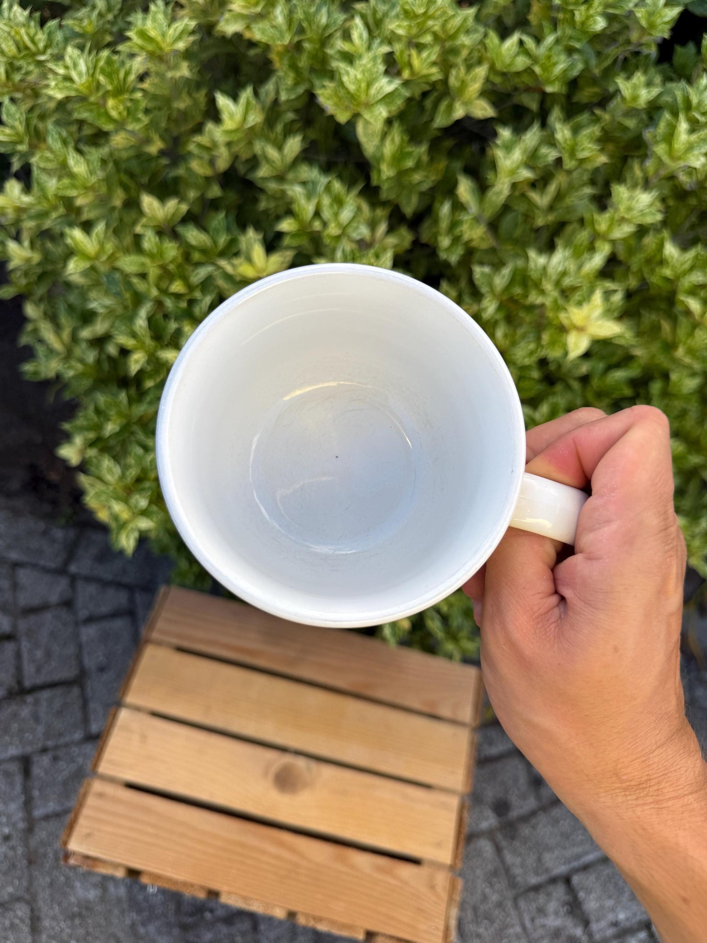 Vintage Disneyland Paris Mickey Mouse Mug, Retro Coffee Cup, Collectible Disney Tams, Vintage Theme Park Souvenir, Retro Cartoon Drinkware