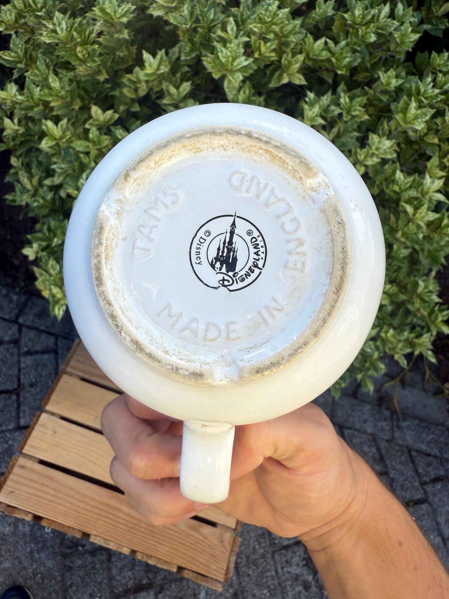 Vintage Disneyland Paris Mickey Mouse Mug, Retro Coffee Cup, Collectible Disney Tams, Vintage Theme Park Souvenir, Retro Cartoon Drinkware