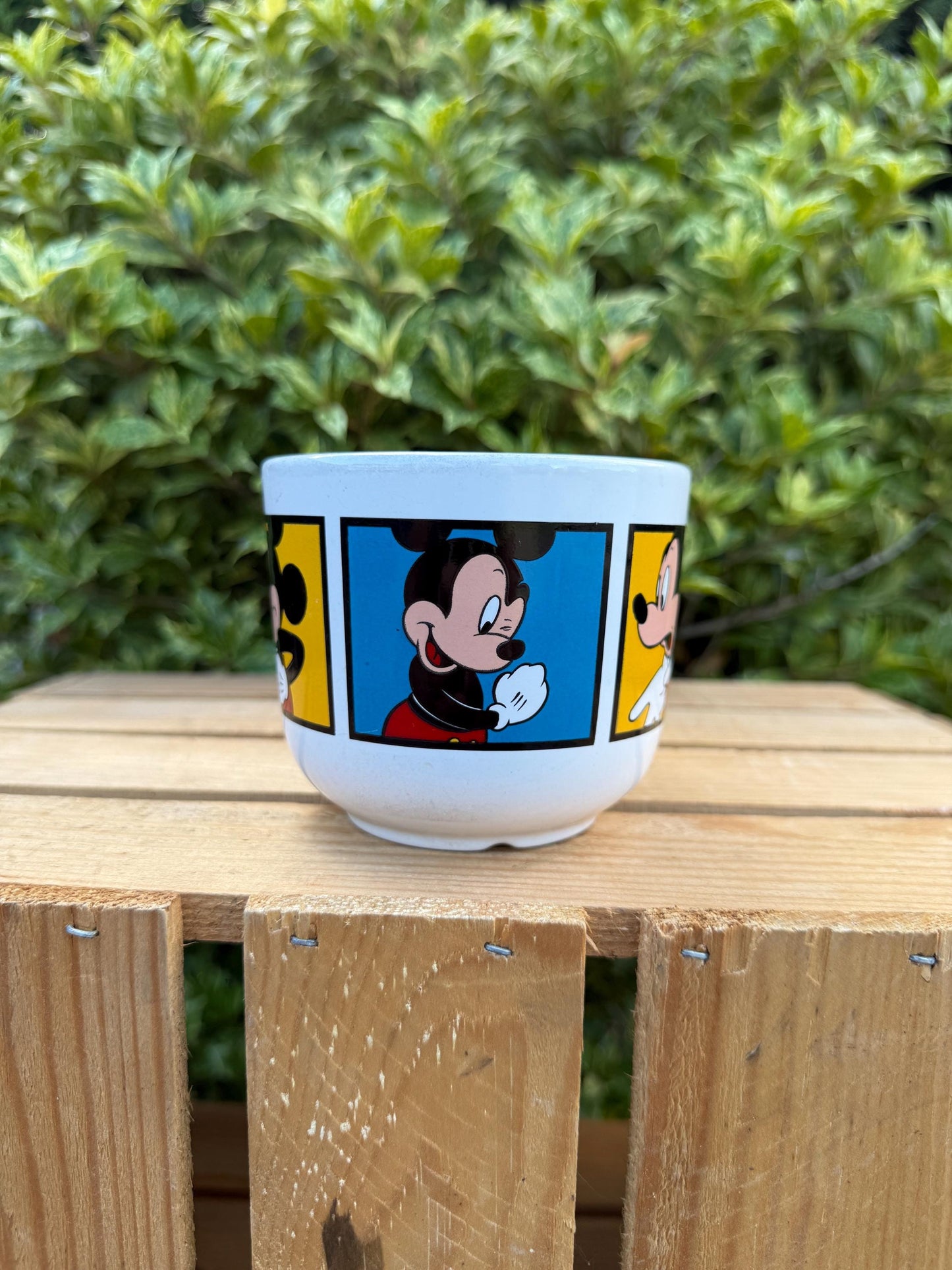 Vintage Disneyland Paris Mickey Mouse Mug, Retro Coffee Cup, Collectible Disney Tams, Vintage Theme Park Souvenir, Retro Cartoon Drinkware