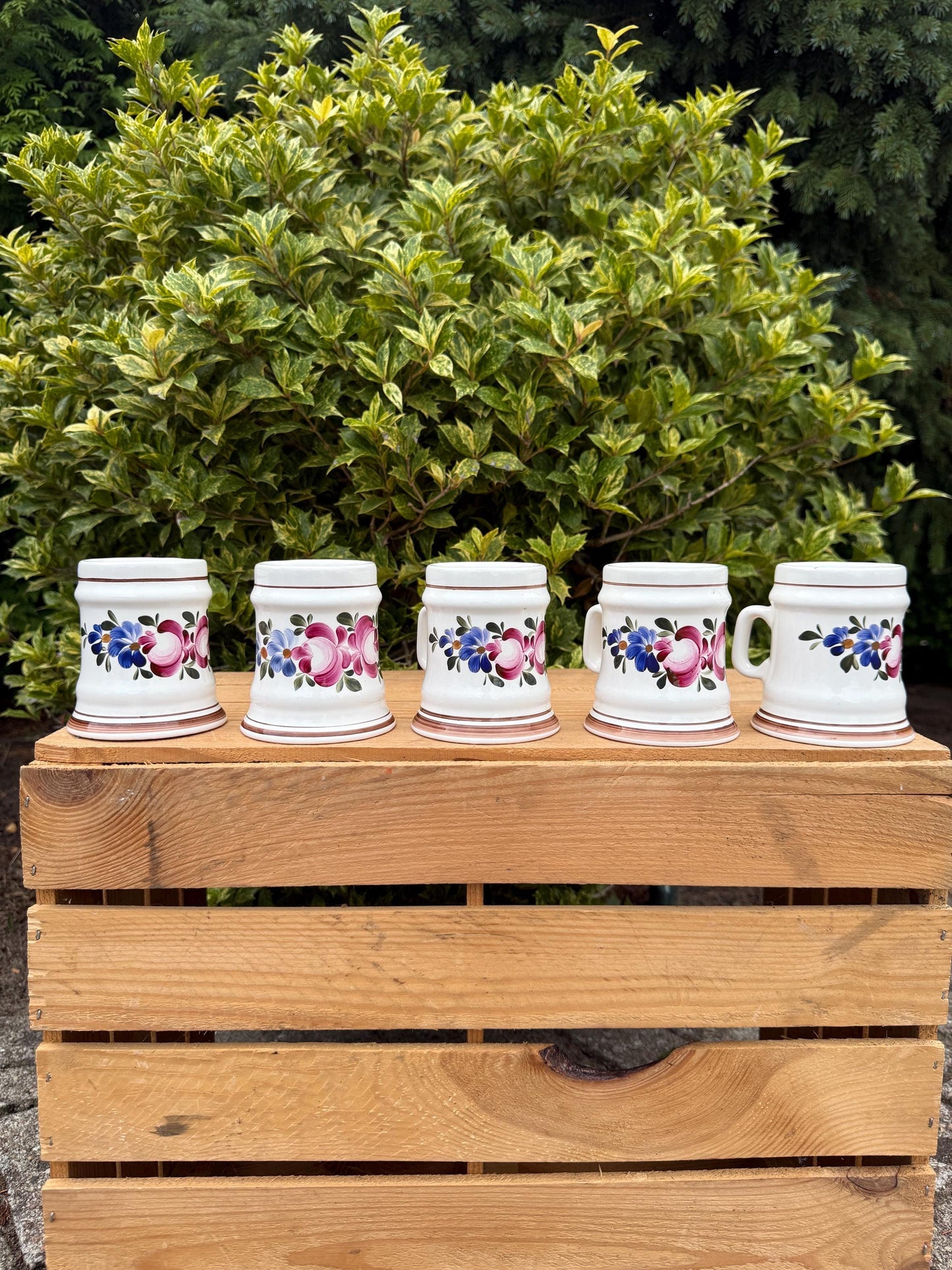 Set Of 5 Vintage German Beer Steins, Hand Painted Ceramic Tankards, Floral Pattern Mugs With Handles, Collectible Beer Mugs