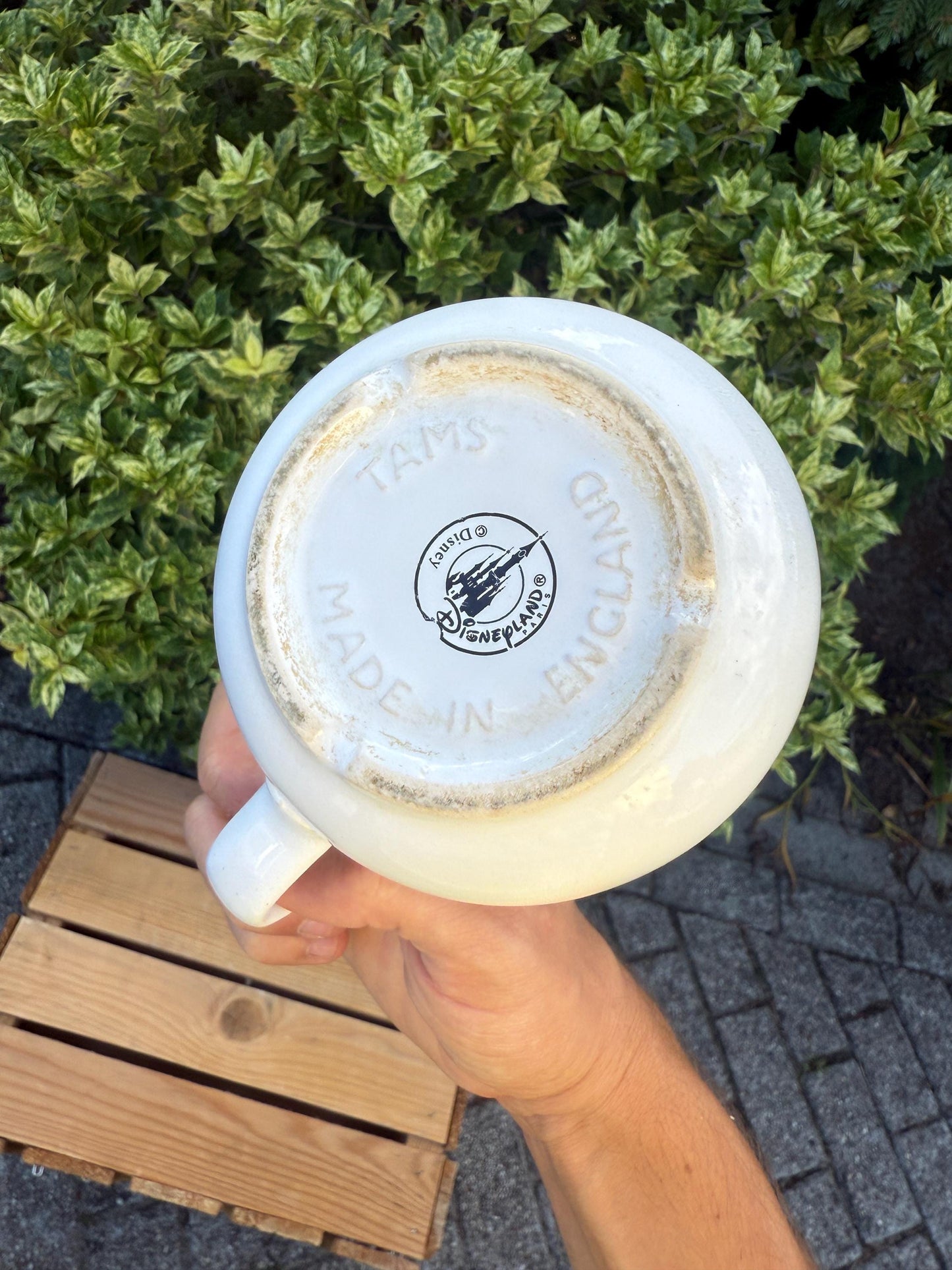 Vintage Disneyland Paris Mickey Mouse Mug, Retro Coffee Cup, Collectible Disney Tams, Vintage Theme Park Souvenir, Retro Cartoon Drinkware