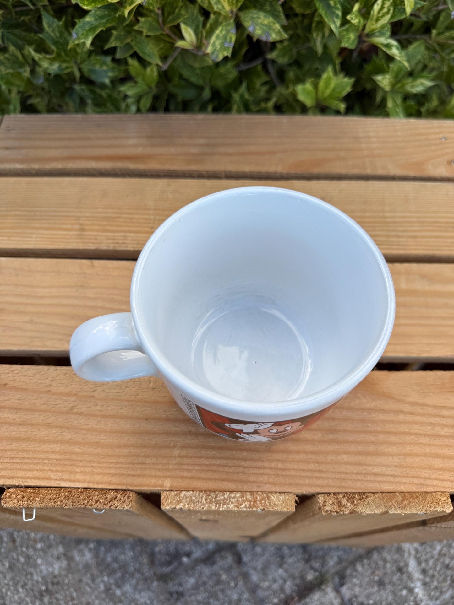 Vintage Disneyland Paris Mickey Mouse Mug, Retro Coffee Cup, Collectible Disney Tams, Vintage Theme Park Souvenir, Retro Cartoon Drinkware