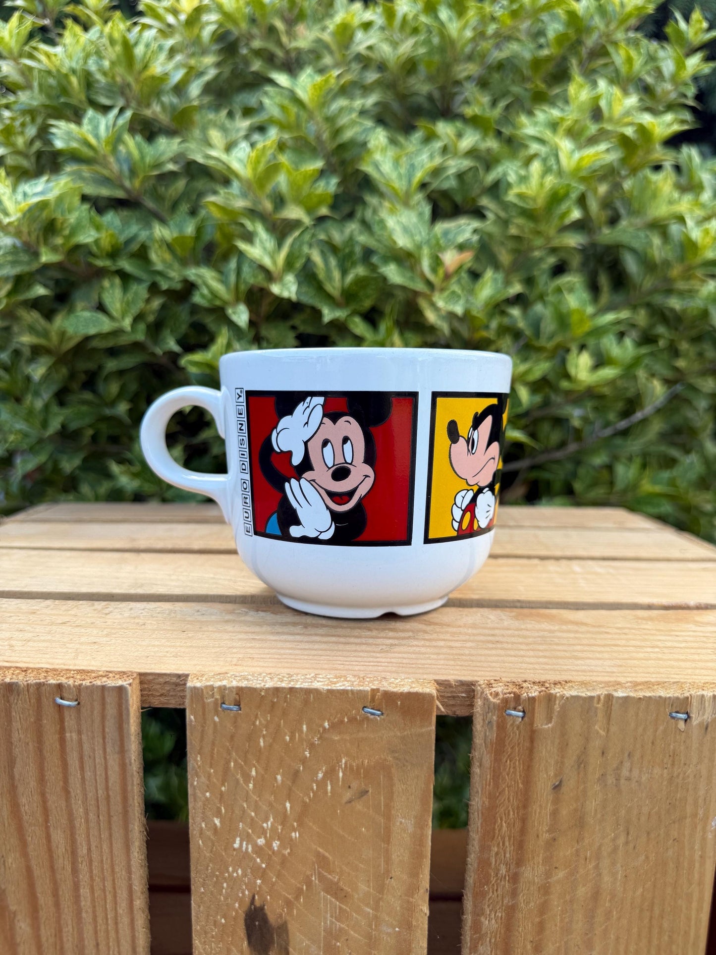 Vintage Disneyland Paris Mickey Mouse Mug, Retro Coffee Cup, Collectible Disney Tams, Vintage Theme Park Souvenir, Retro Cartoon Drinkware