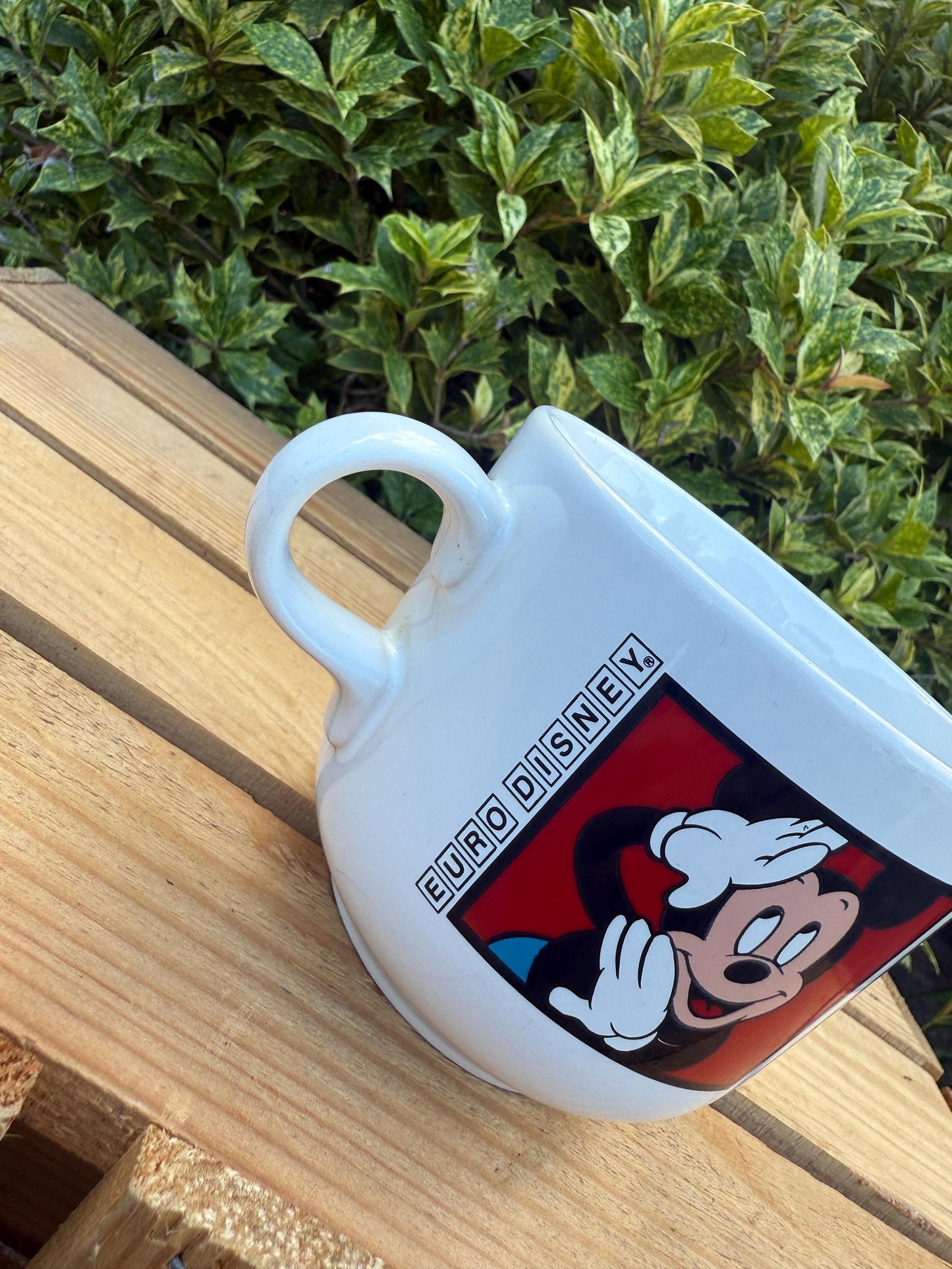 Vintage Disneyland Paris Mickey Mouse Mug, Retro Coffee Cup, Collectible Disney Tams, Vintage Theme Park Souvenir, Retro Cartoon Drinkware