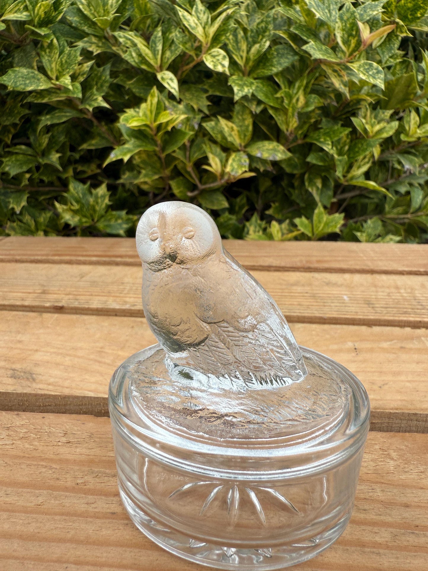 Vintage French Glass Owl Trinket Box, Clear Frosted Glass Jewelry Dish, Luminarc Style Storage Container, Collectible Gift Idea