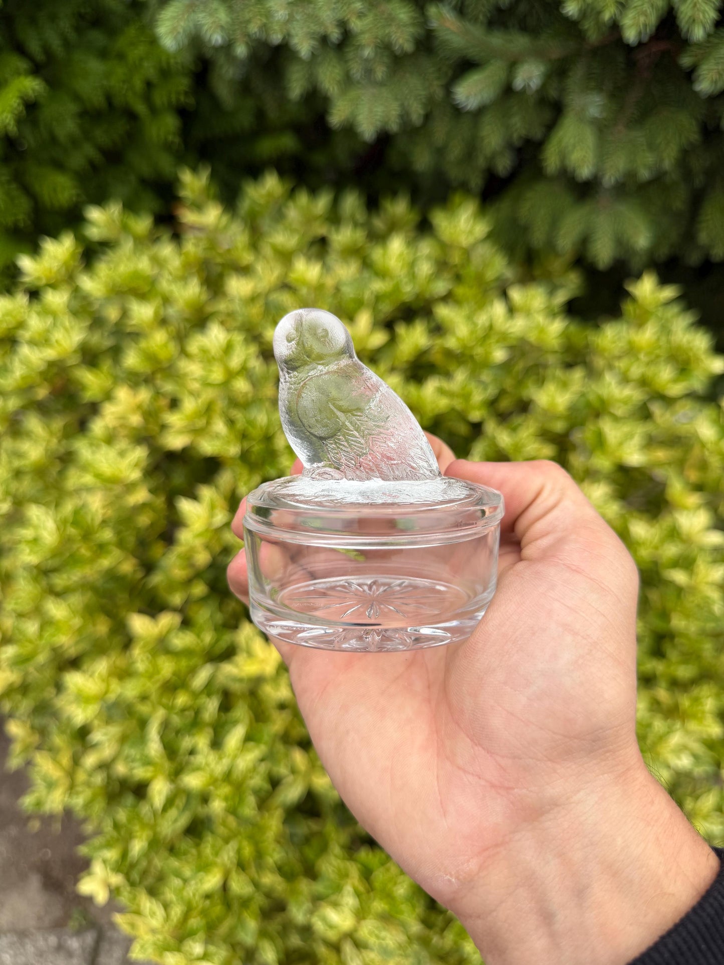 Vintage French Glass Owl Trinket Box, Clear Frosted Glass Jewelry Dish, Luminarc Style Storage Container, Collectible Gift Idea
