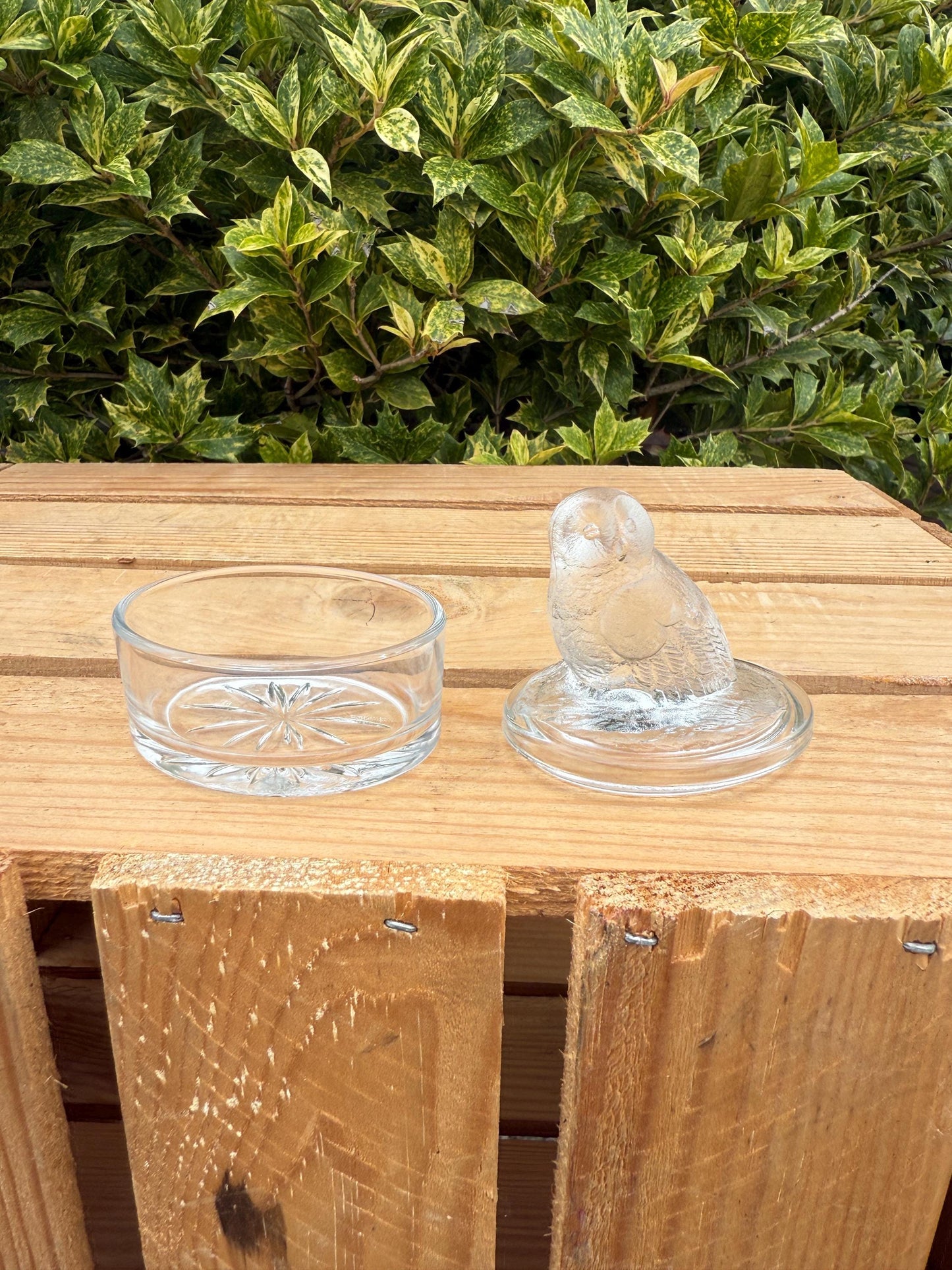Vintage French Glass Owl Trinket Box, Clear Frosted Glass Jewelry Dish, Luminarc Style Storage Container, Collectible Gift Idea