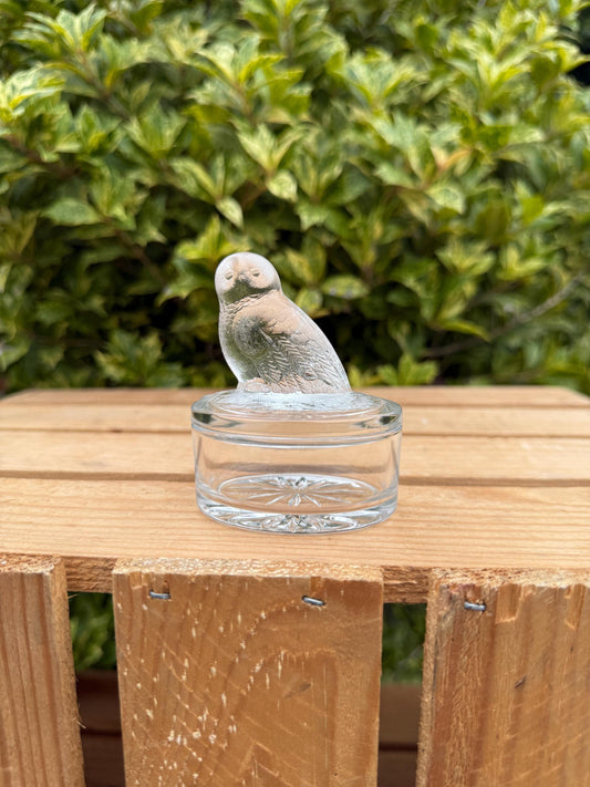 Vintage French Glass Owl Trinket Box, Clear Frosted Glass Jewelry Dish, Luminarc Style Storage Container, Collectible Gift Idea