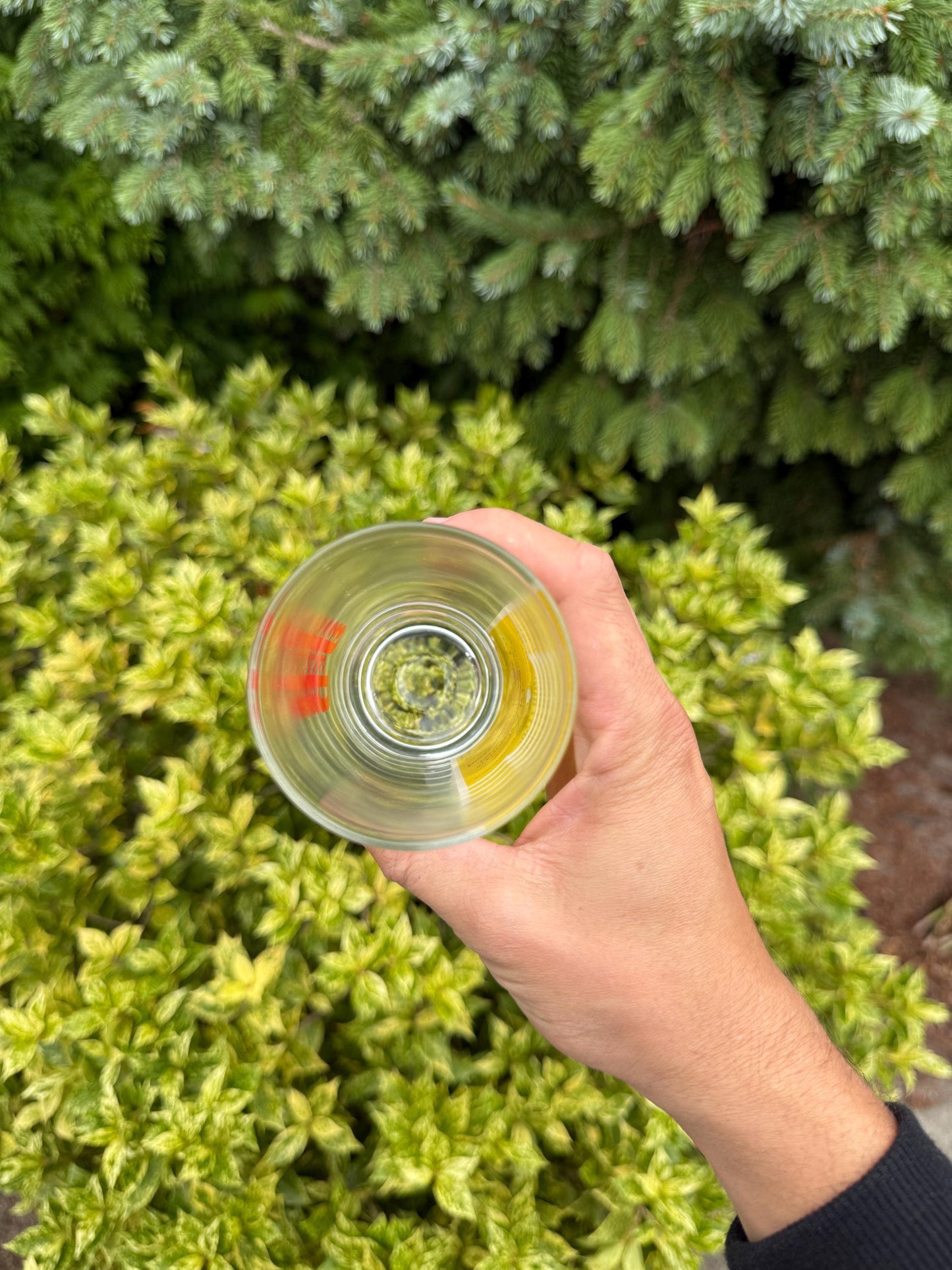 Vintage J&B Whisky Glasses Set, Justerini Brooks Advertising Barware, Rare Scotch Tumblers, Collectible Drinkware, Mid Century Bar Glasses