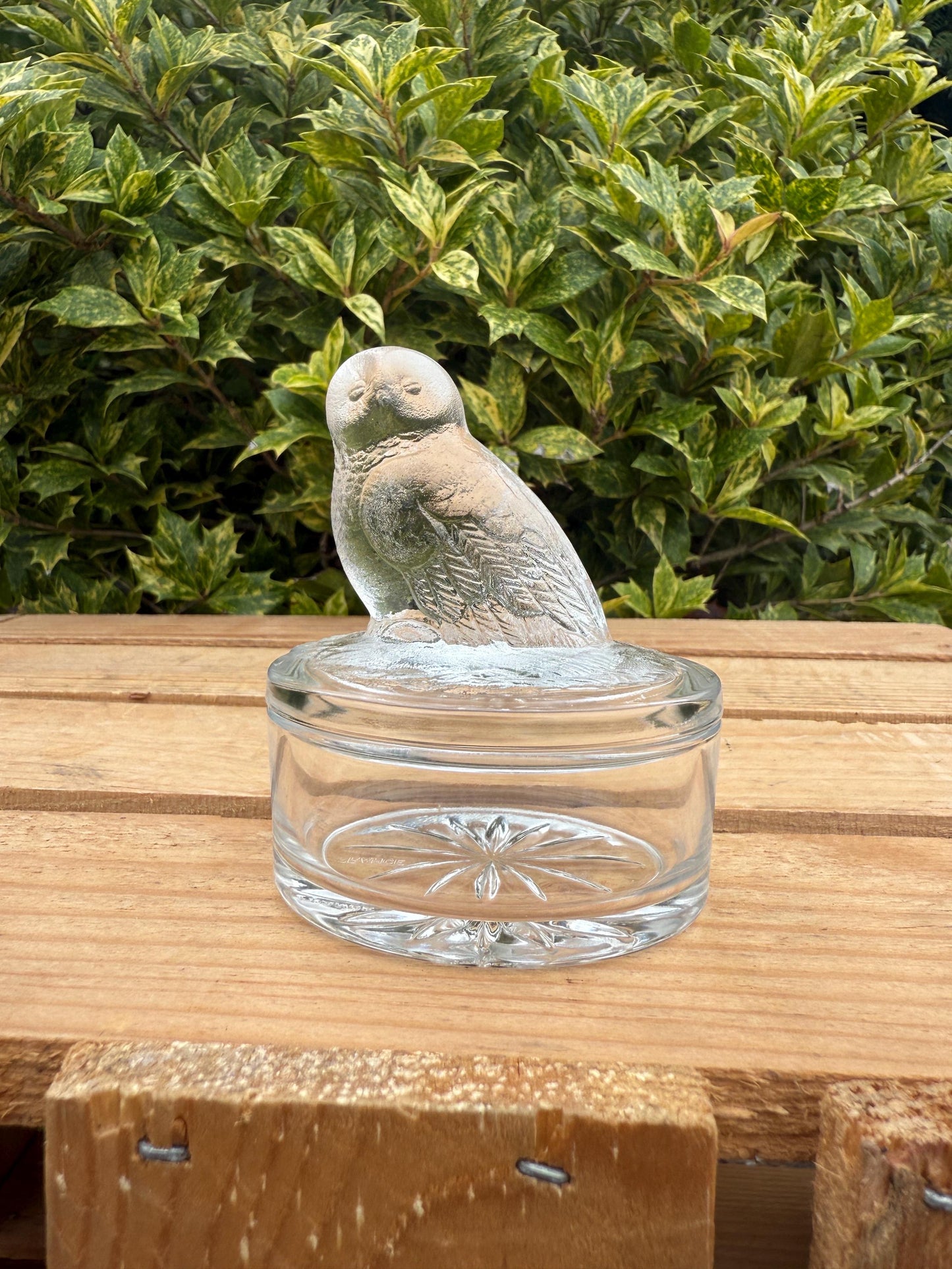 Vintage French Glass Owl Trinket Box, Clear Frosted Glass Jewelry Dish, Luminarc Style Storage Container, Collectible Gift Idea