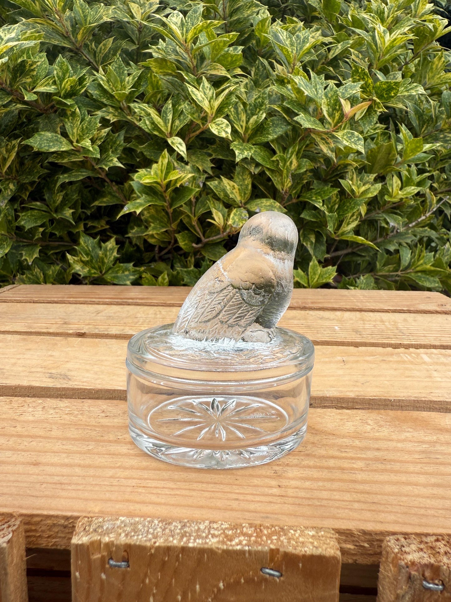 Vintage French Glass Owl Trinket Box, Clear Frosted Glass Jewelry Dish, Luminarc Style Storage Container, Collectible Gift Idea