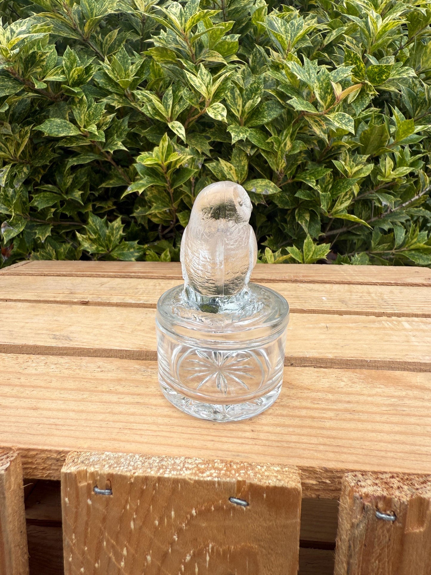 Vintage French Glass Owl Trinket Box, Clear Frosted Glass Jewelry Dish, Luminarc Style Storage Container, Collectible Gift Idea