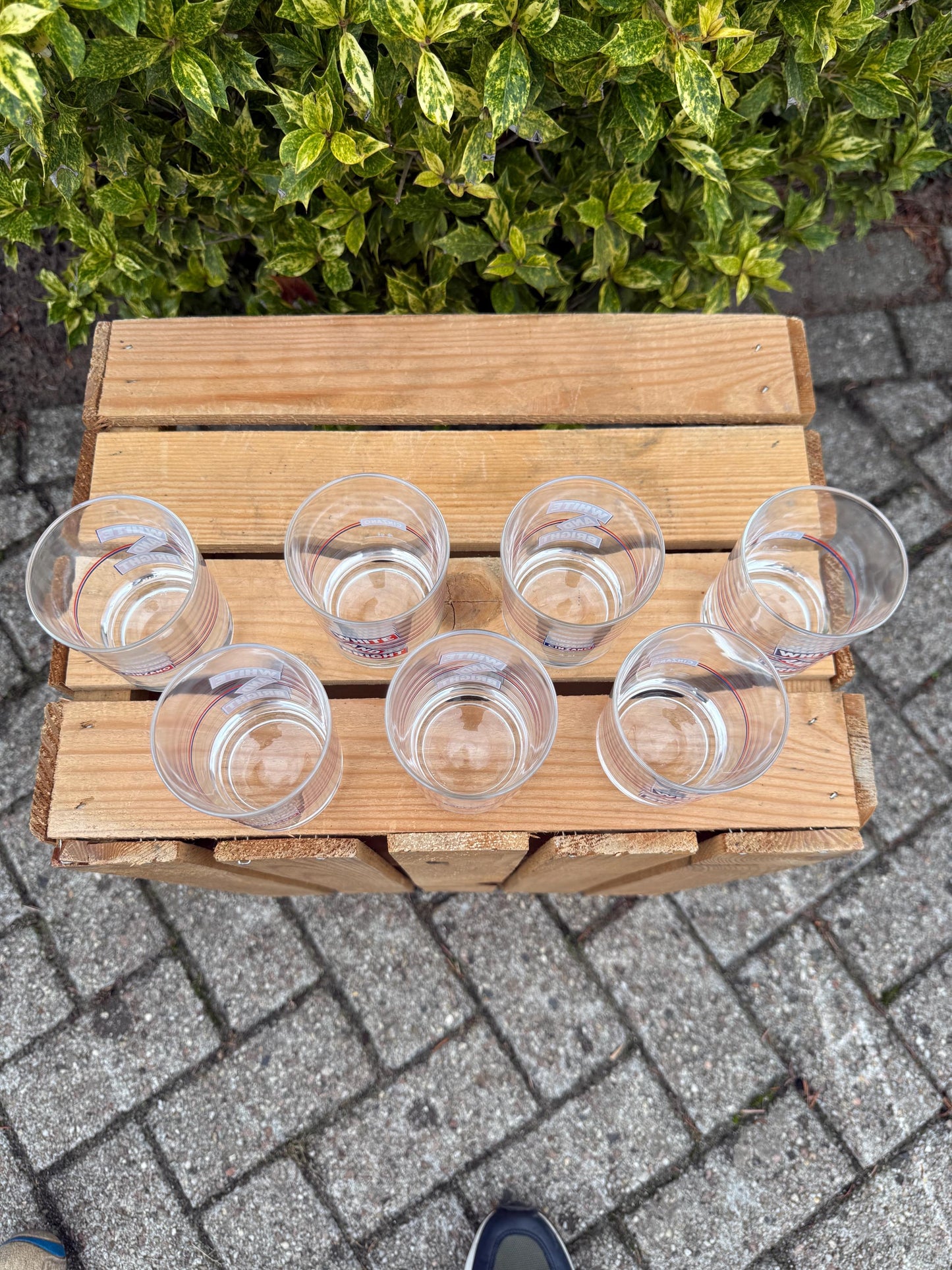 Vintage Cinzano White and Bright Glasses Set of 7, 6 + 1 Free, Italian Advertising Bar Glasses, 1970s Drinkware