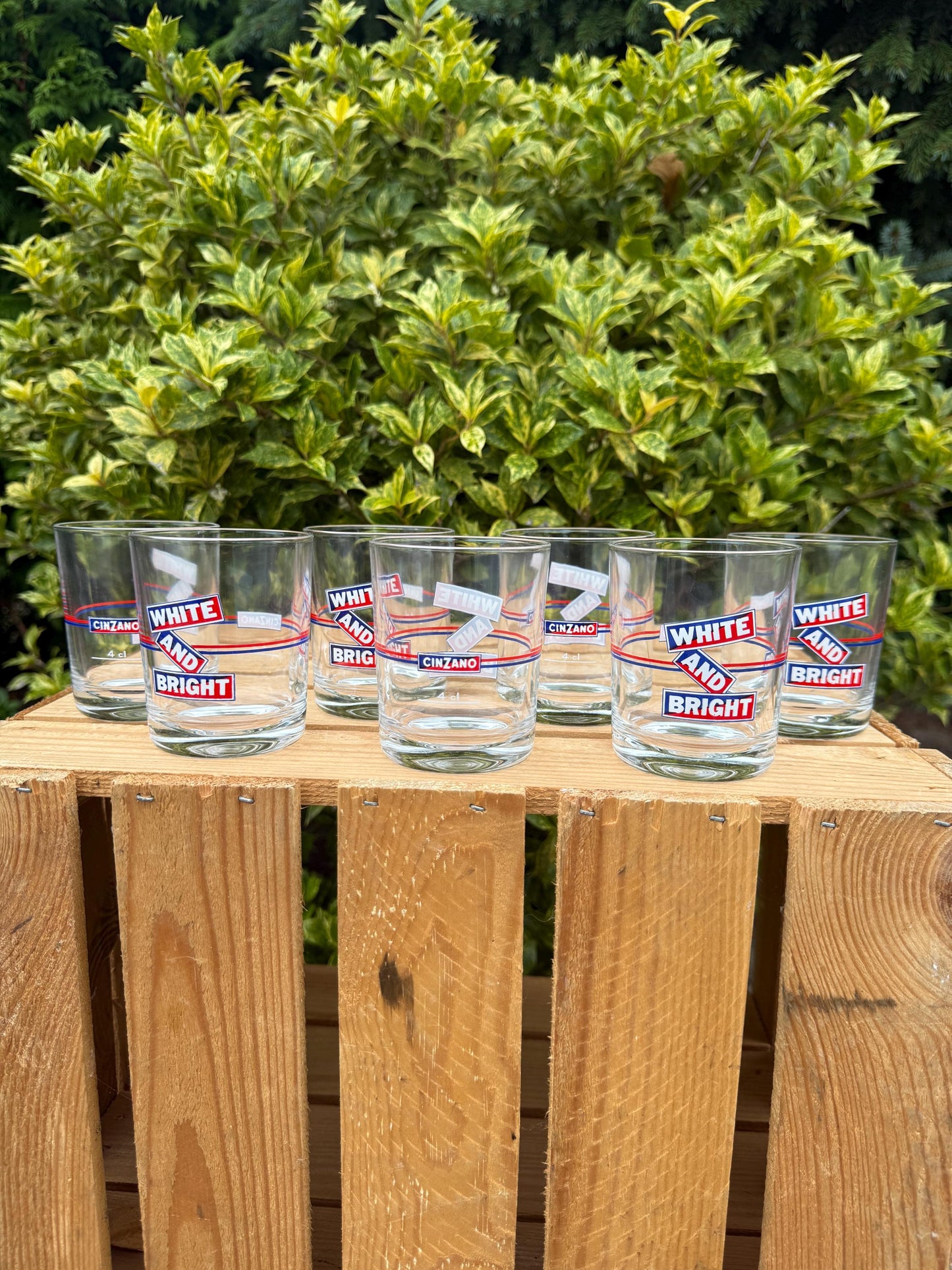 Vintage Cinzano White and Bright Glasses Set of 7, 6 + 1 Free, Italian Advertising Bar Glasses, 1970s Drinkware