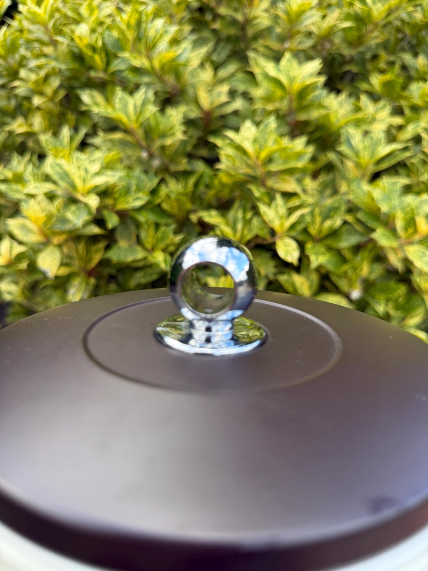 Vintage Botanical Ice Bucket