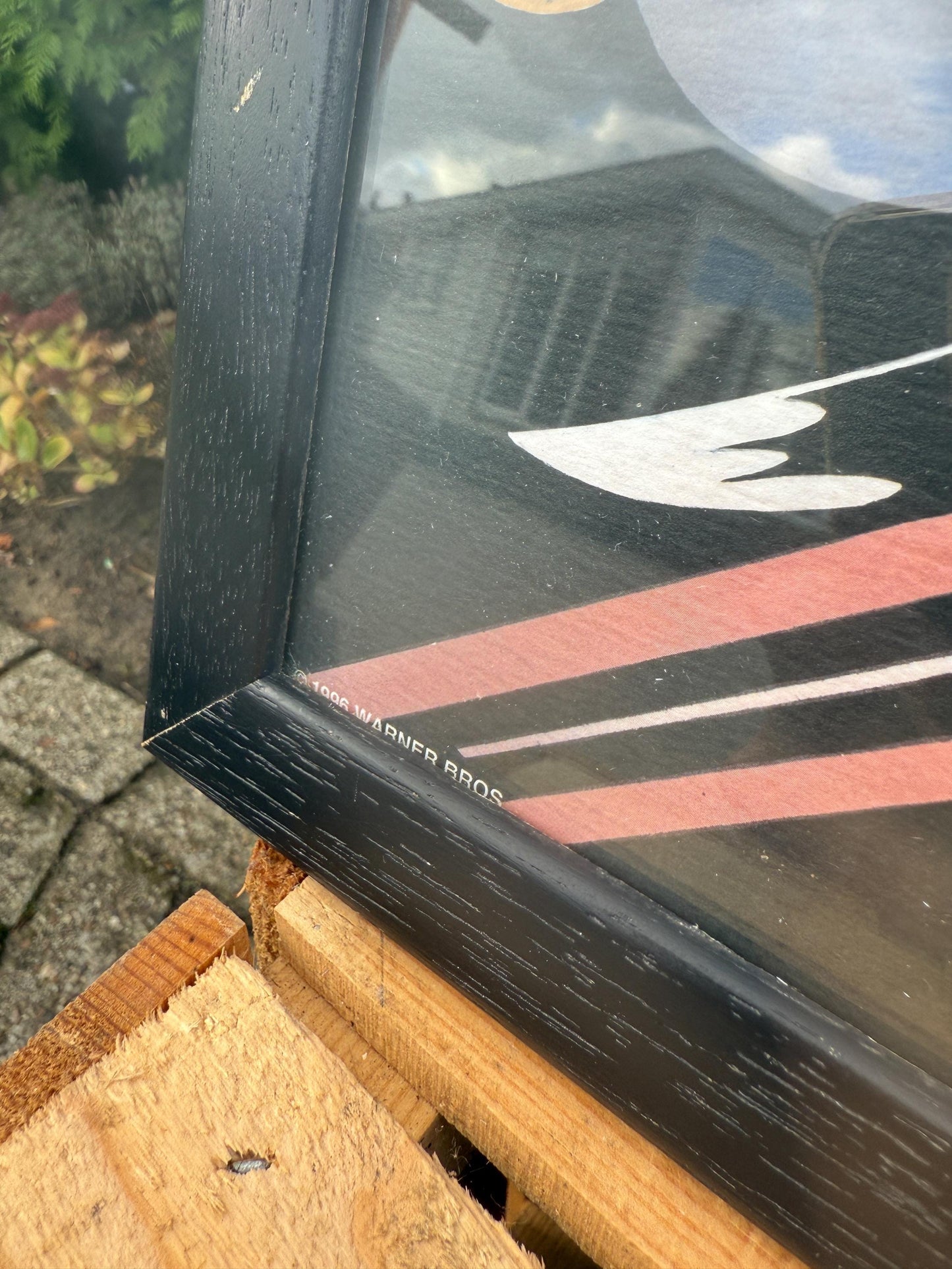 Looney Tunes Sylvester And Tweety Poster