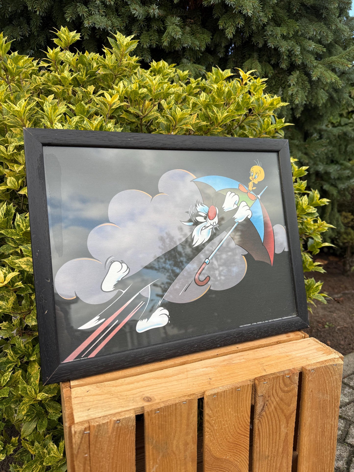 Looney Tunes Sylvester And Tweety Poster