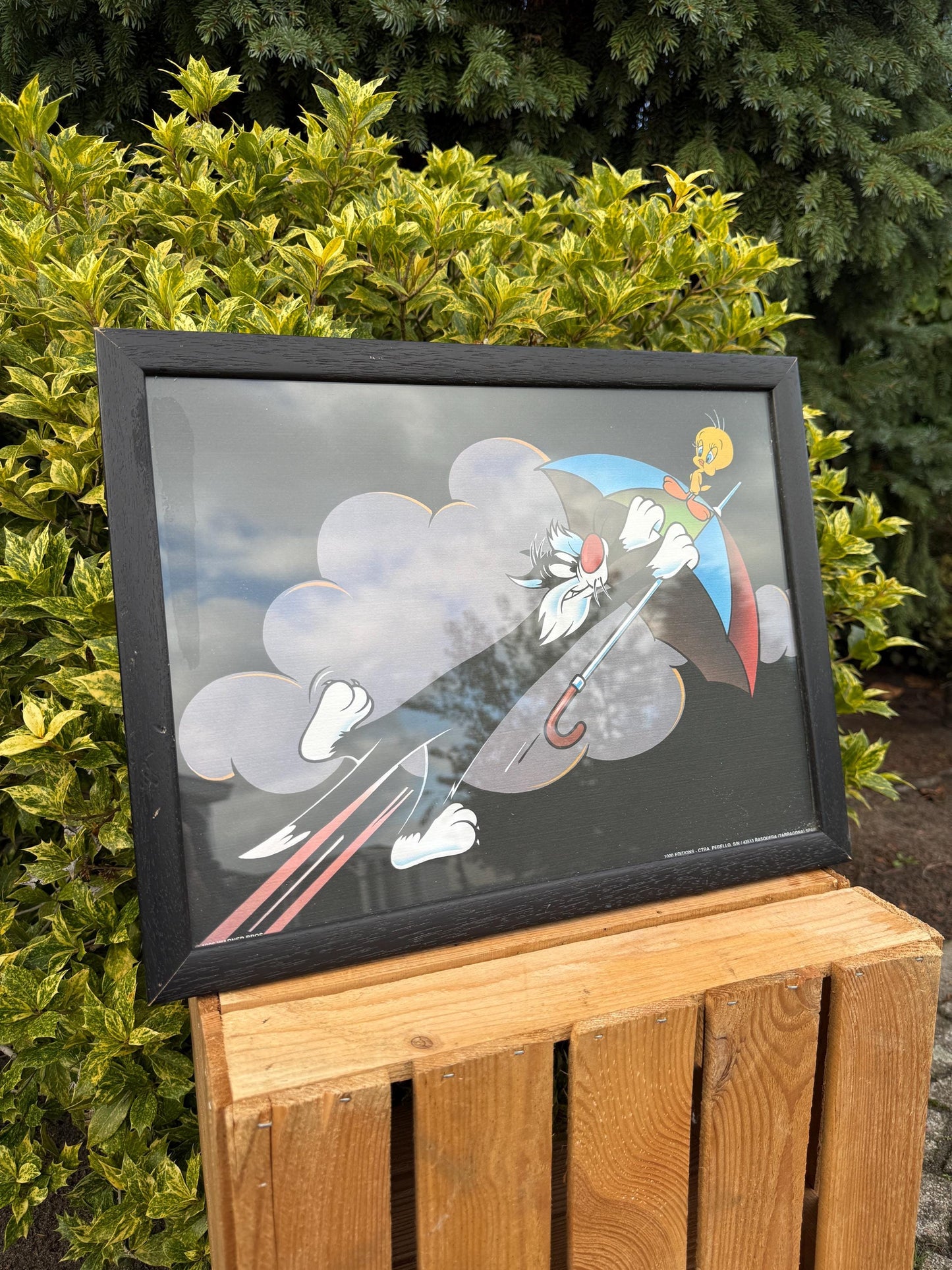 Looney Tunes Sylvester And Tweety Poster