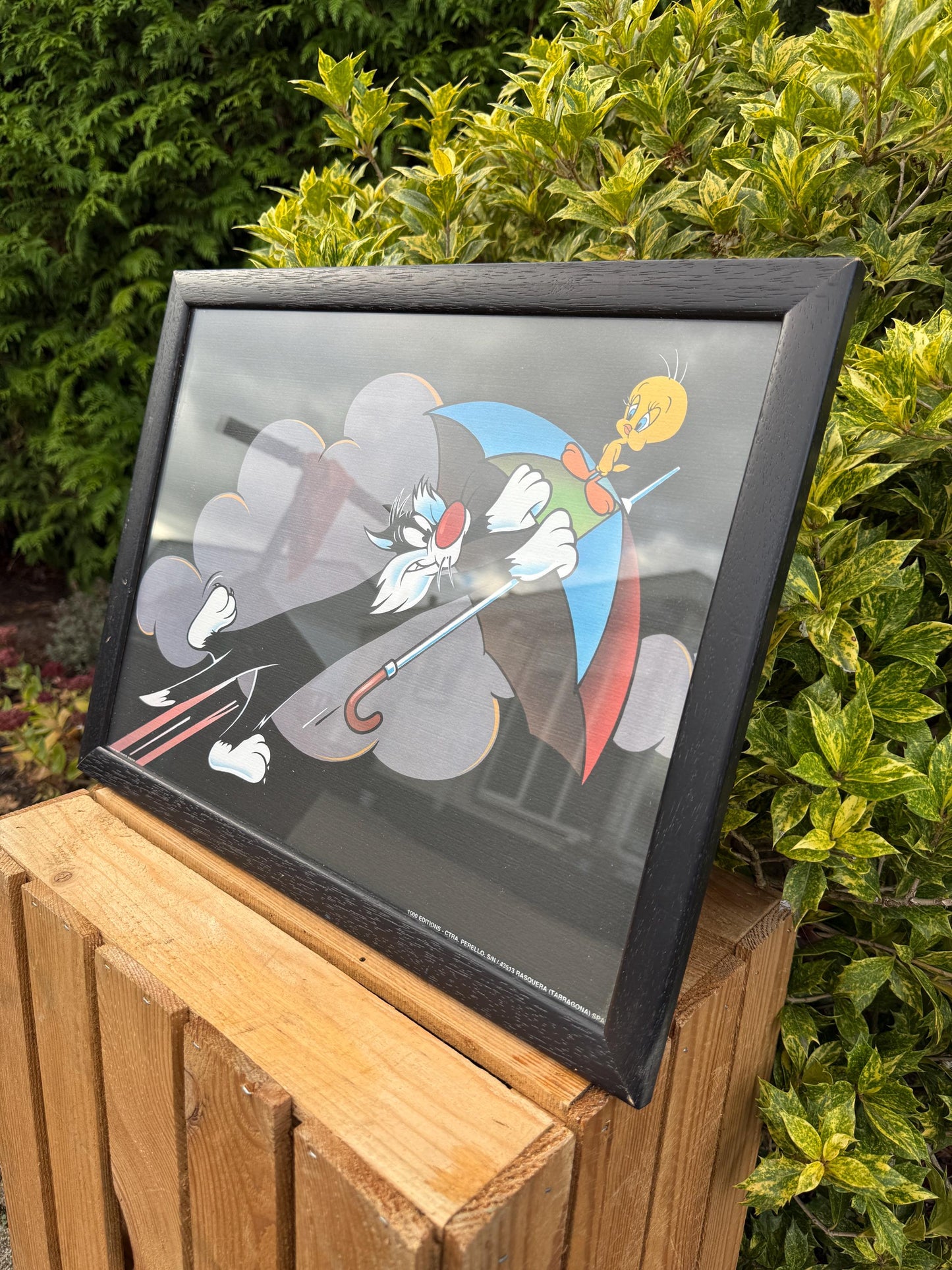 Looney Tunes Sylvester And Tweety Poster