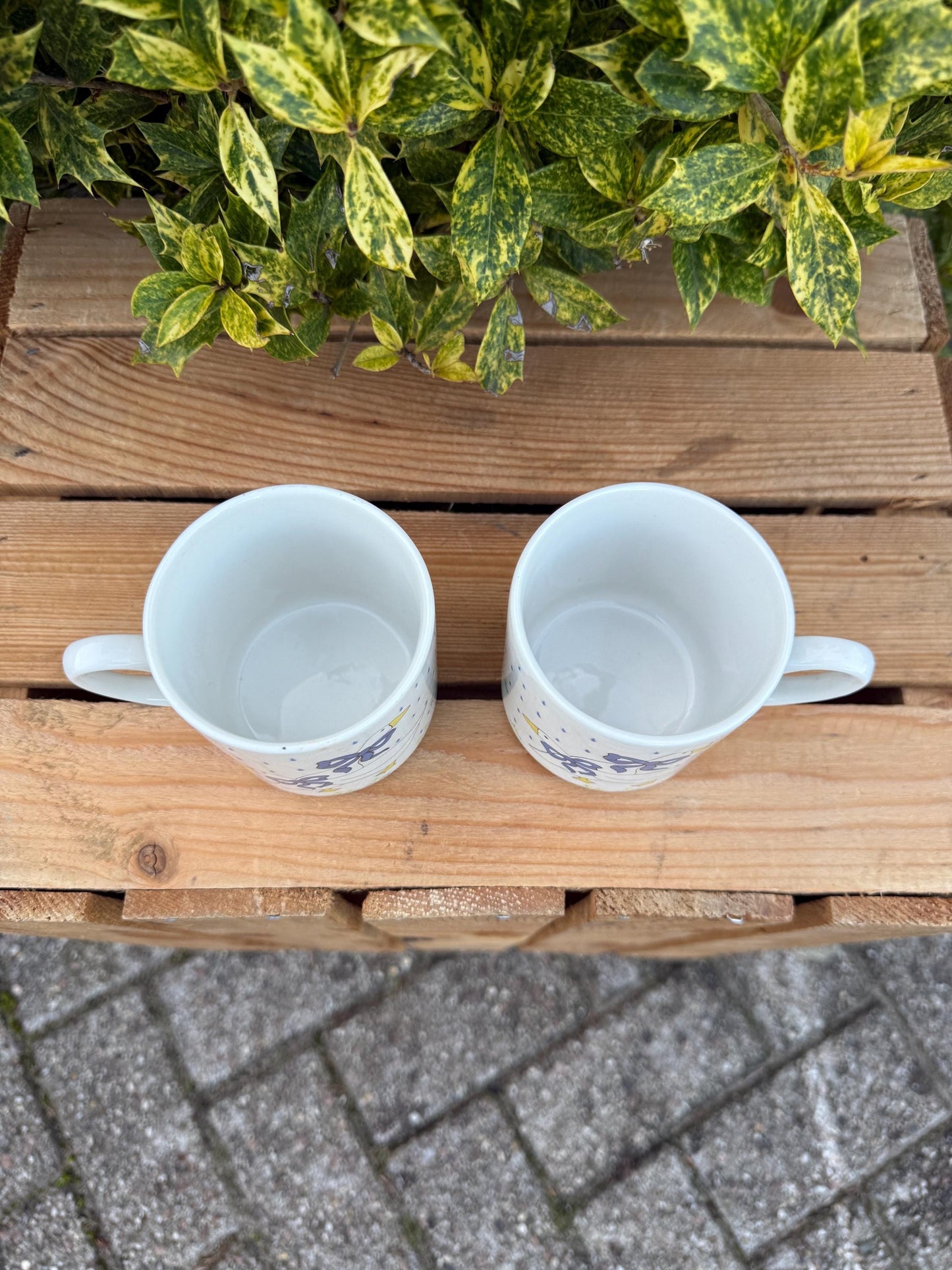 Vintage Goose Print Mug Set
