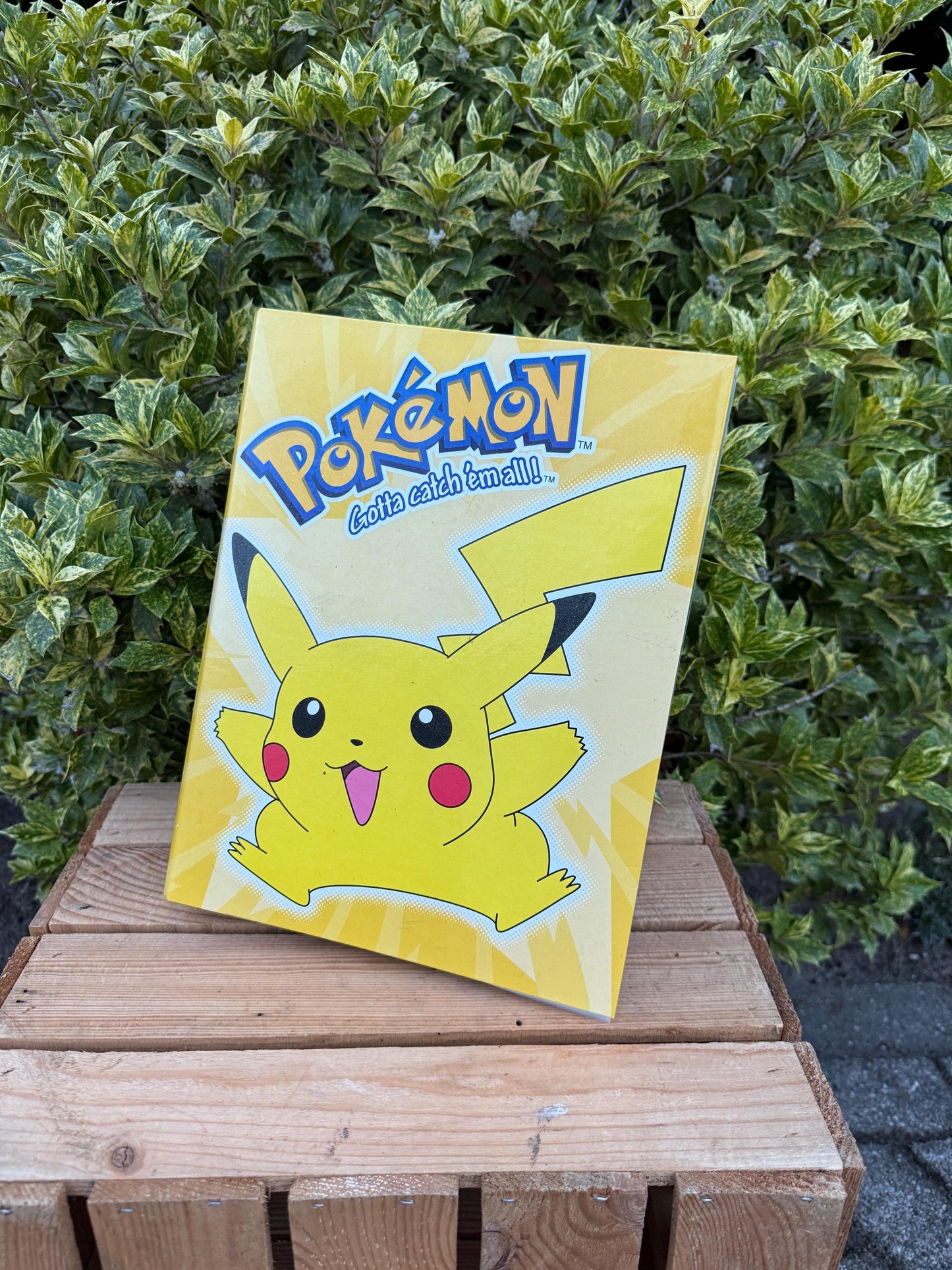 Vintage Pokémon Card Collector Album