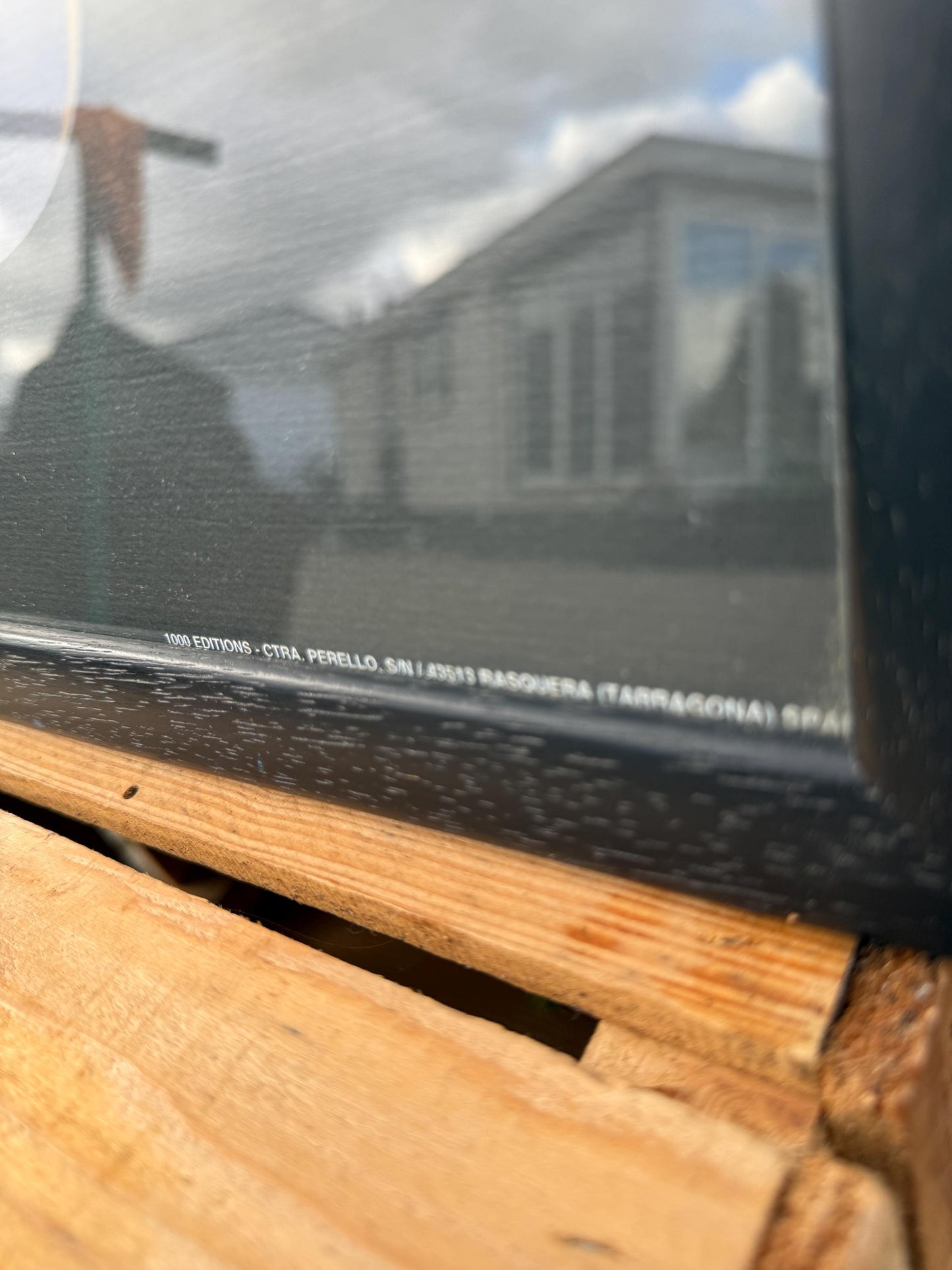 Looney Tunes Sylvester And Tweety Poster