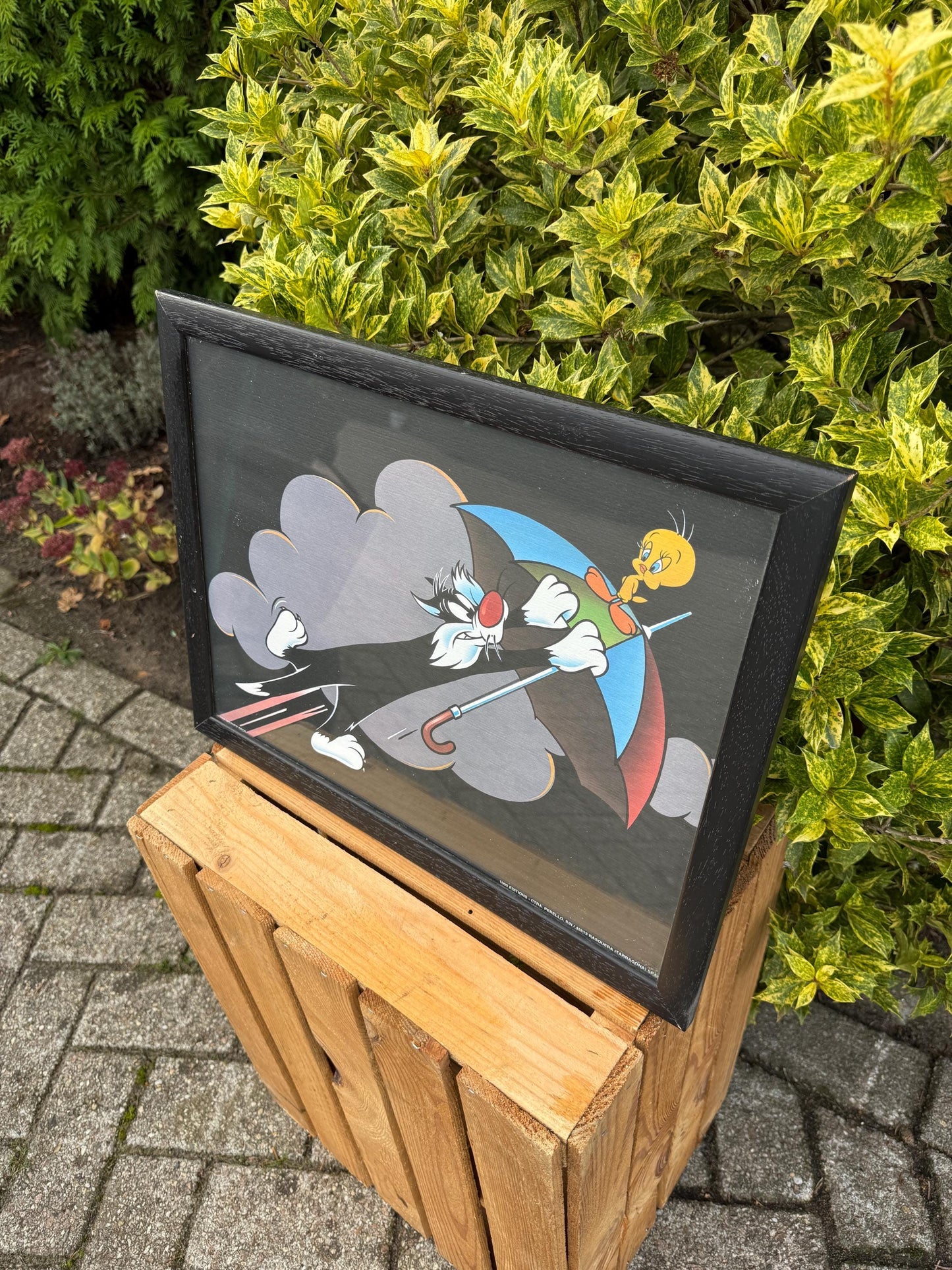 Looney Tunes Sylvester And Tweety Poster