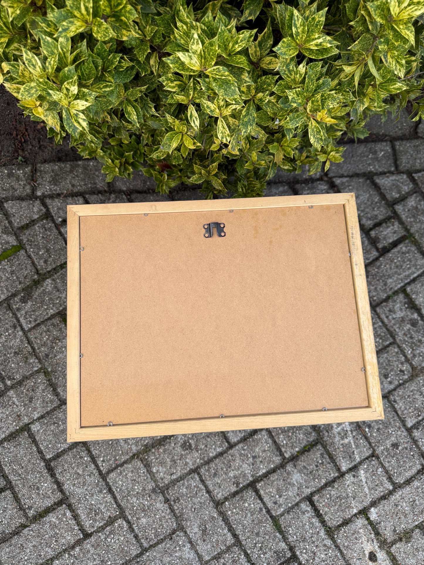 Looney Tunes Sylvester And Tweety Poster