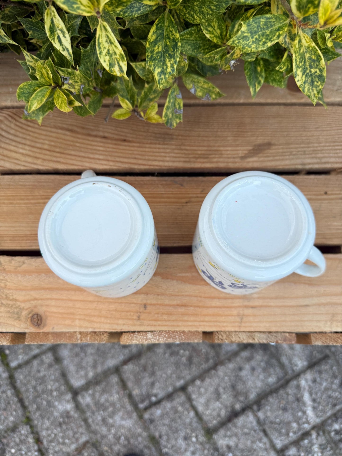 Vintage Goose Print Mug Set