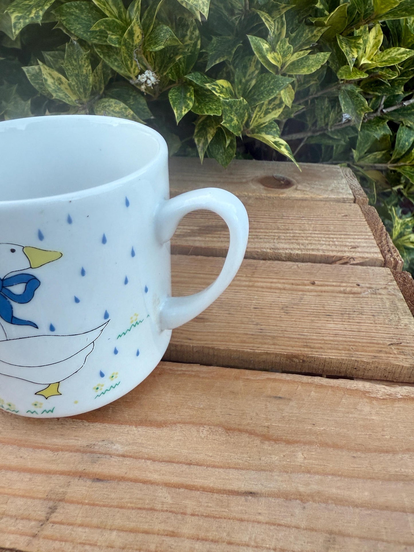 Vintage Goose Print Mug Set